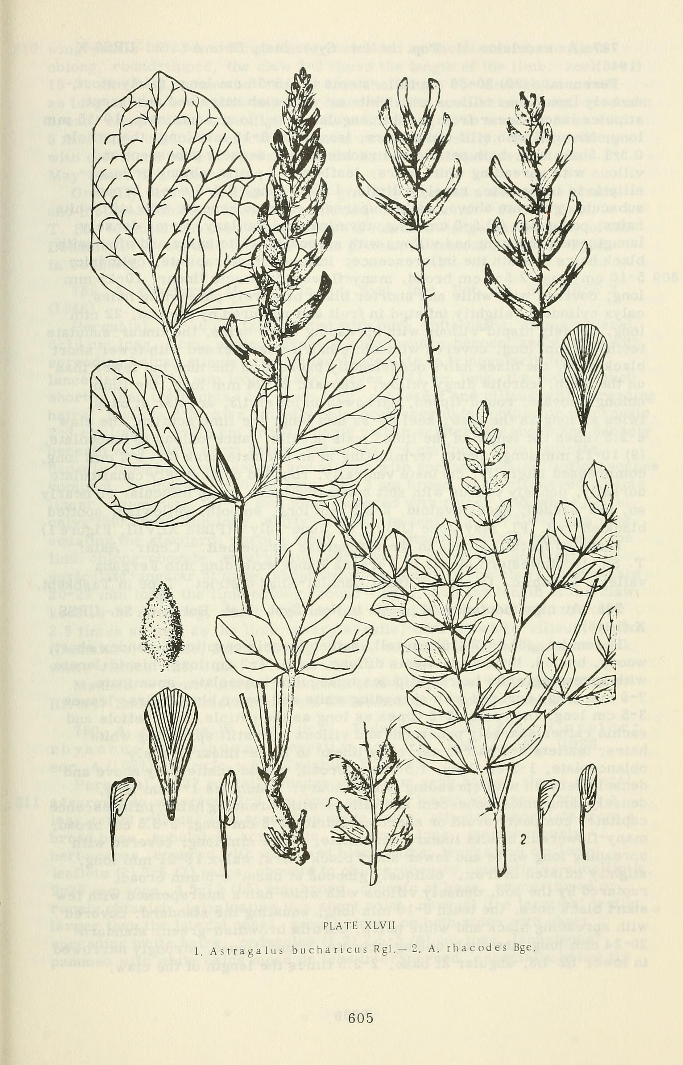 no full size  illustration available (3a)