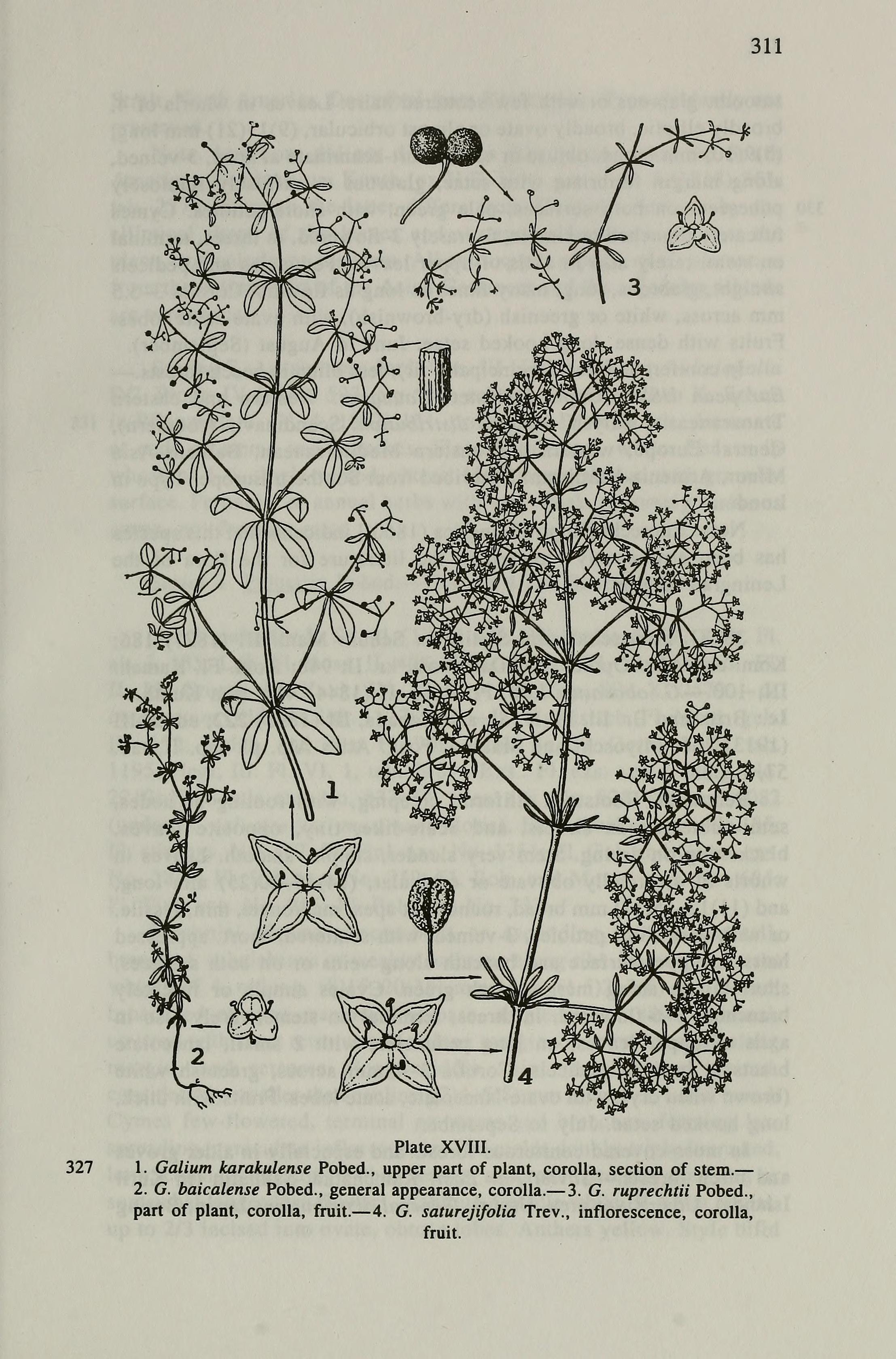 no full size  illustration available (3a)