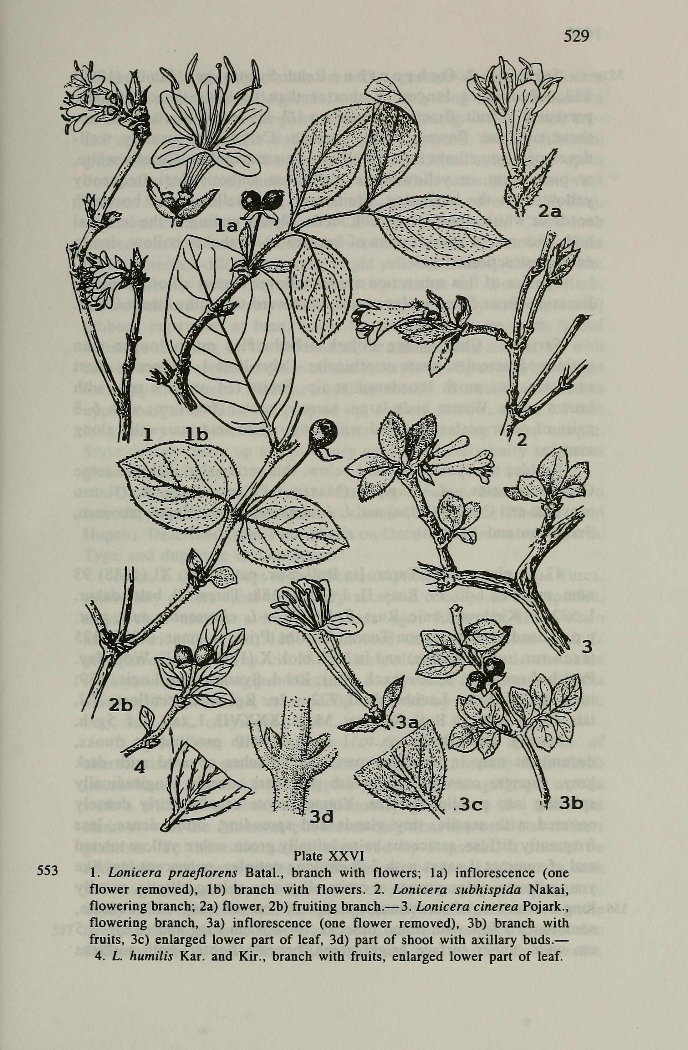 no full size  illustration available (3a)