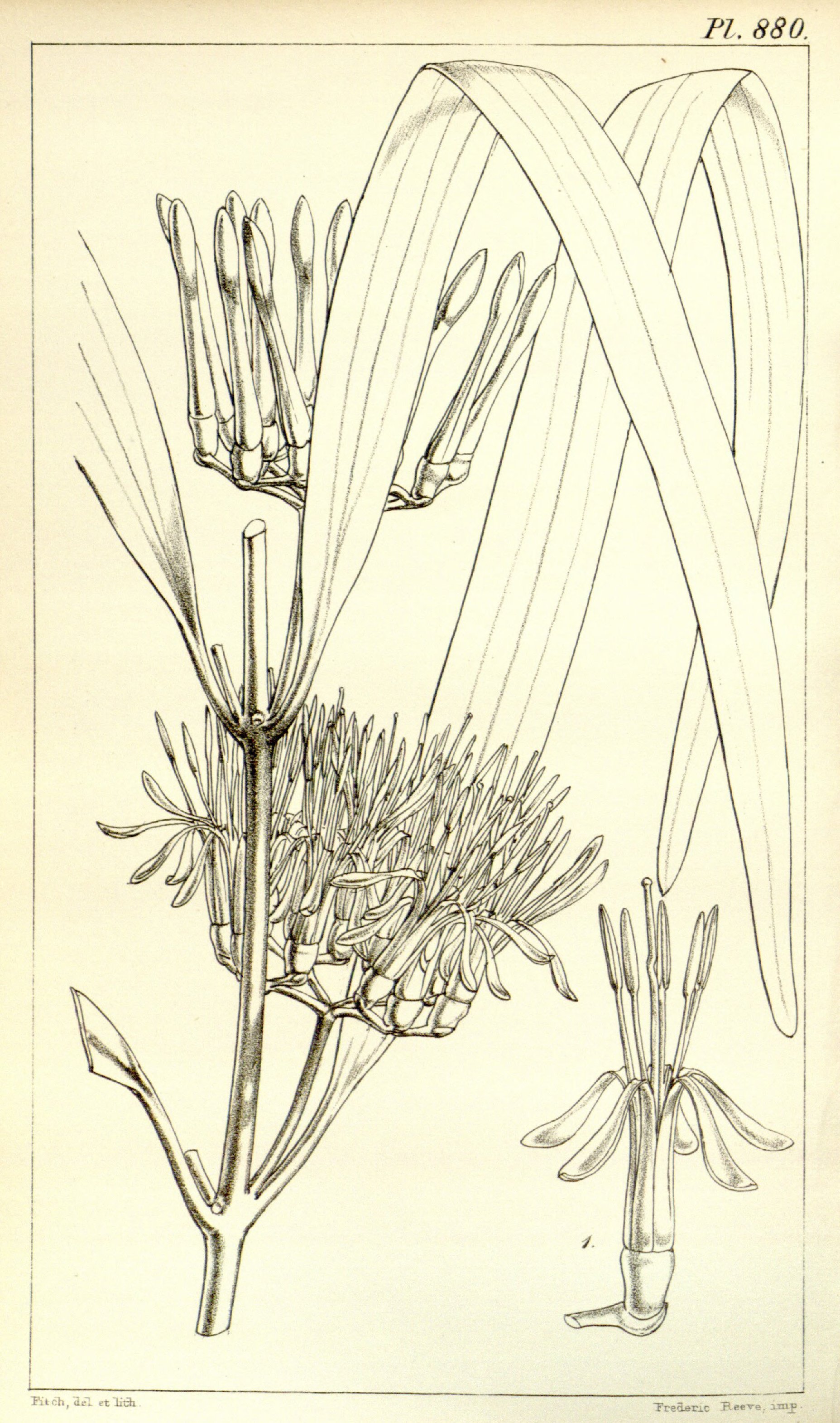 no full size  illustration available (3a)