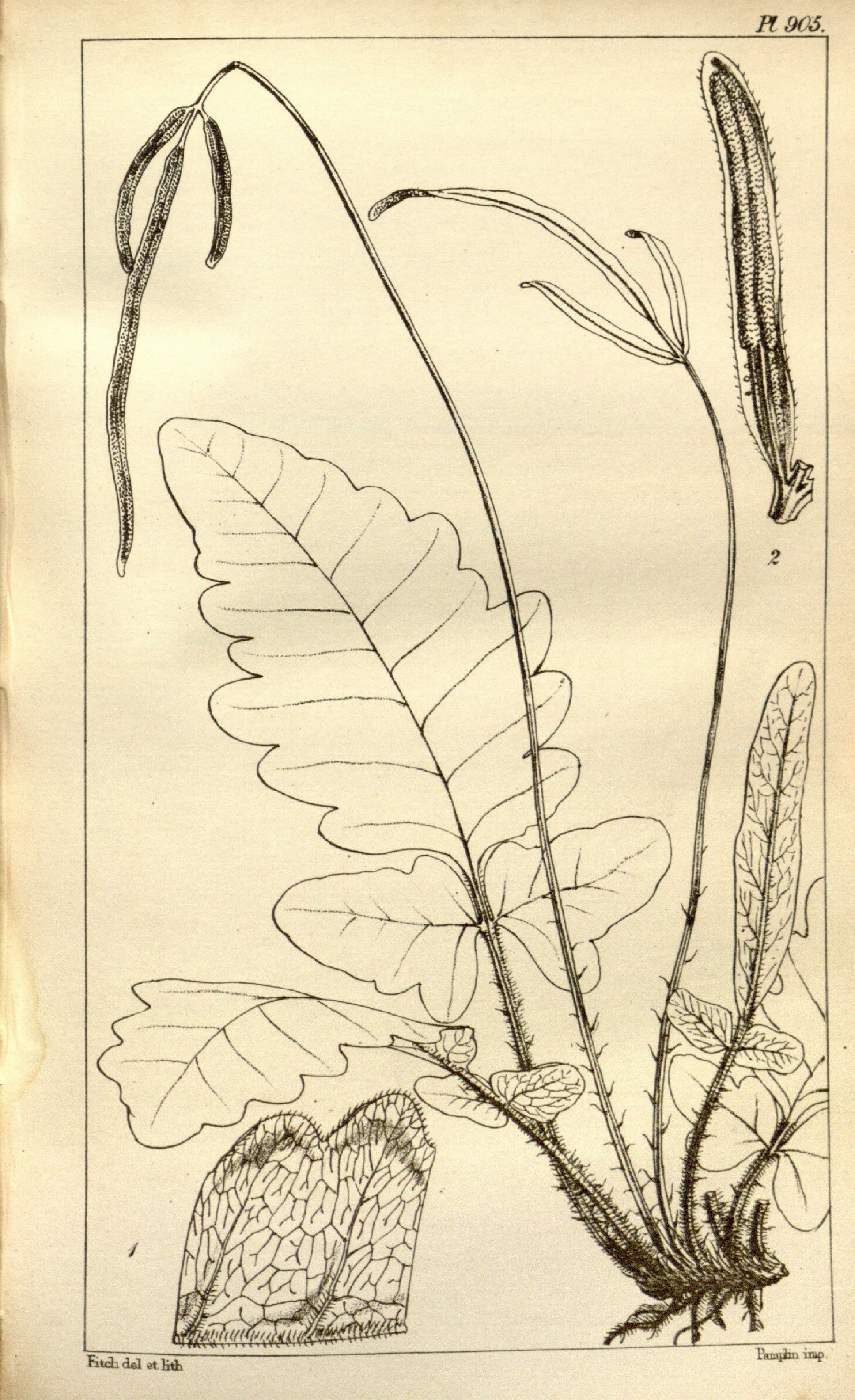 no full size  illustration available (3a)