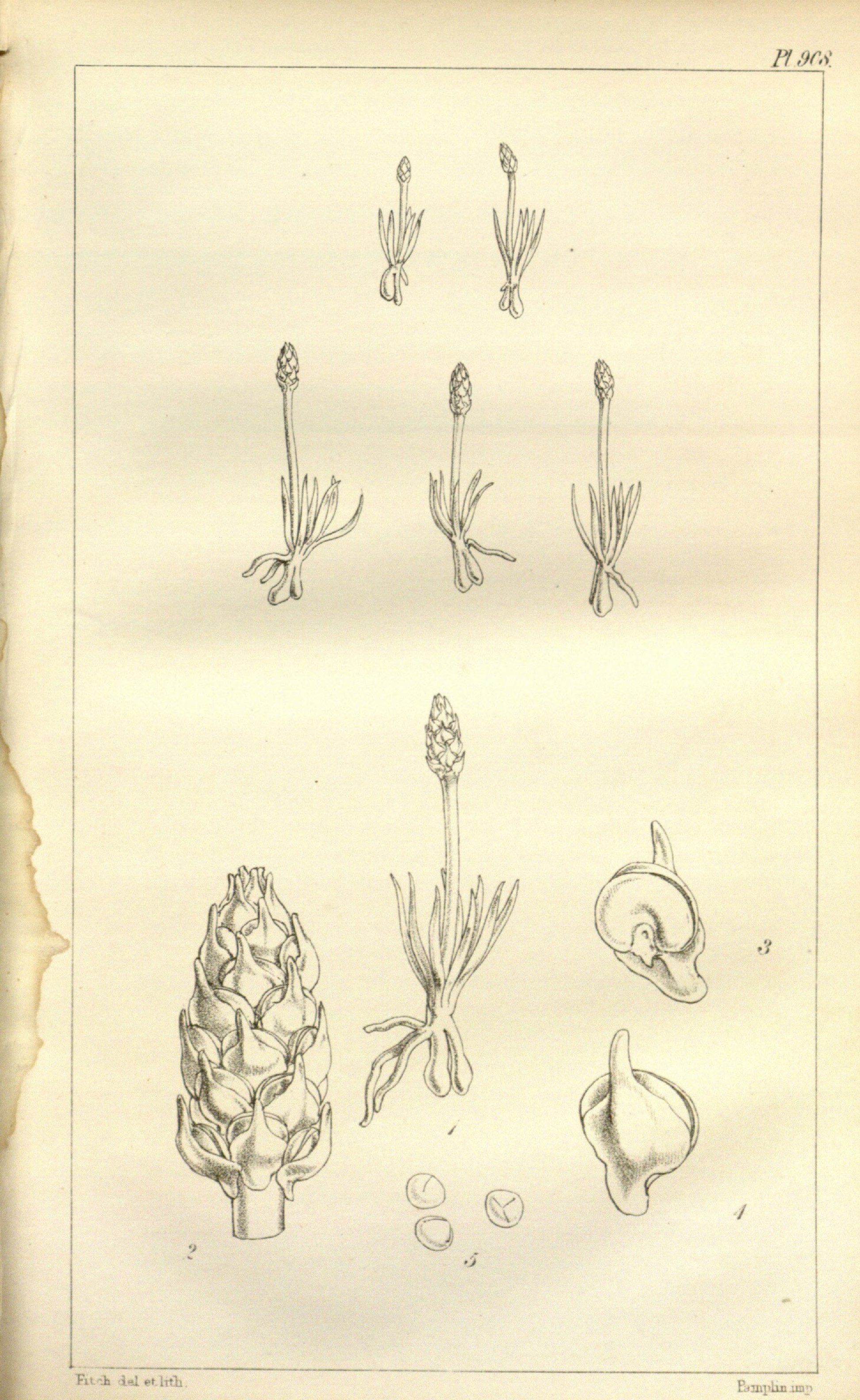 no full size  illustration available (3a)