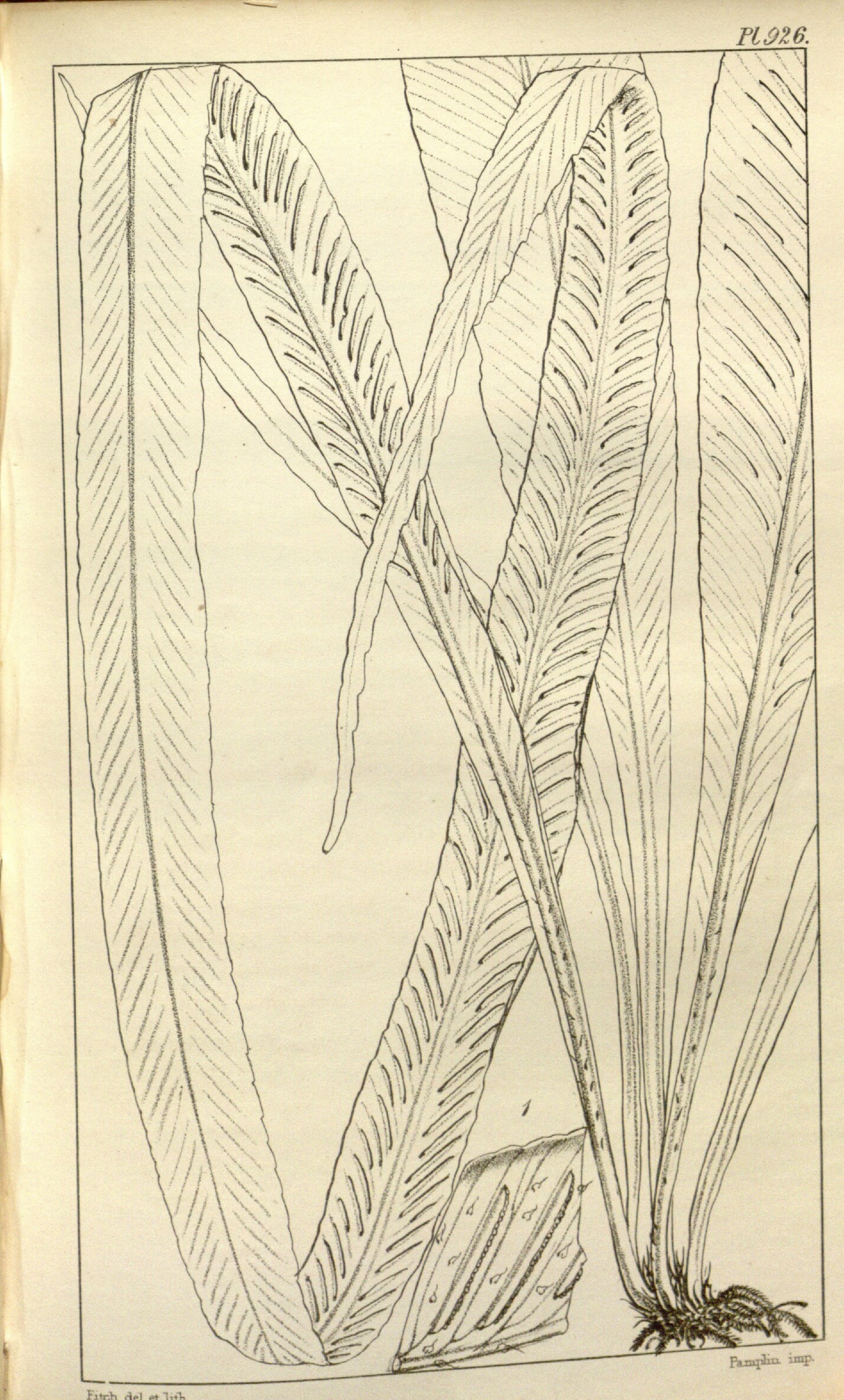 no full size  illustration available (3a)