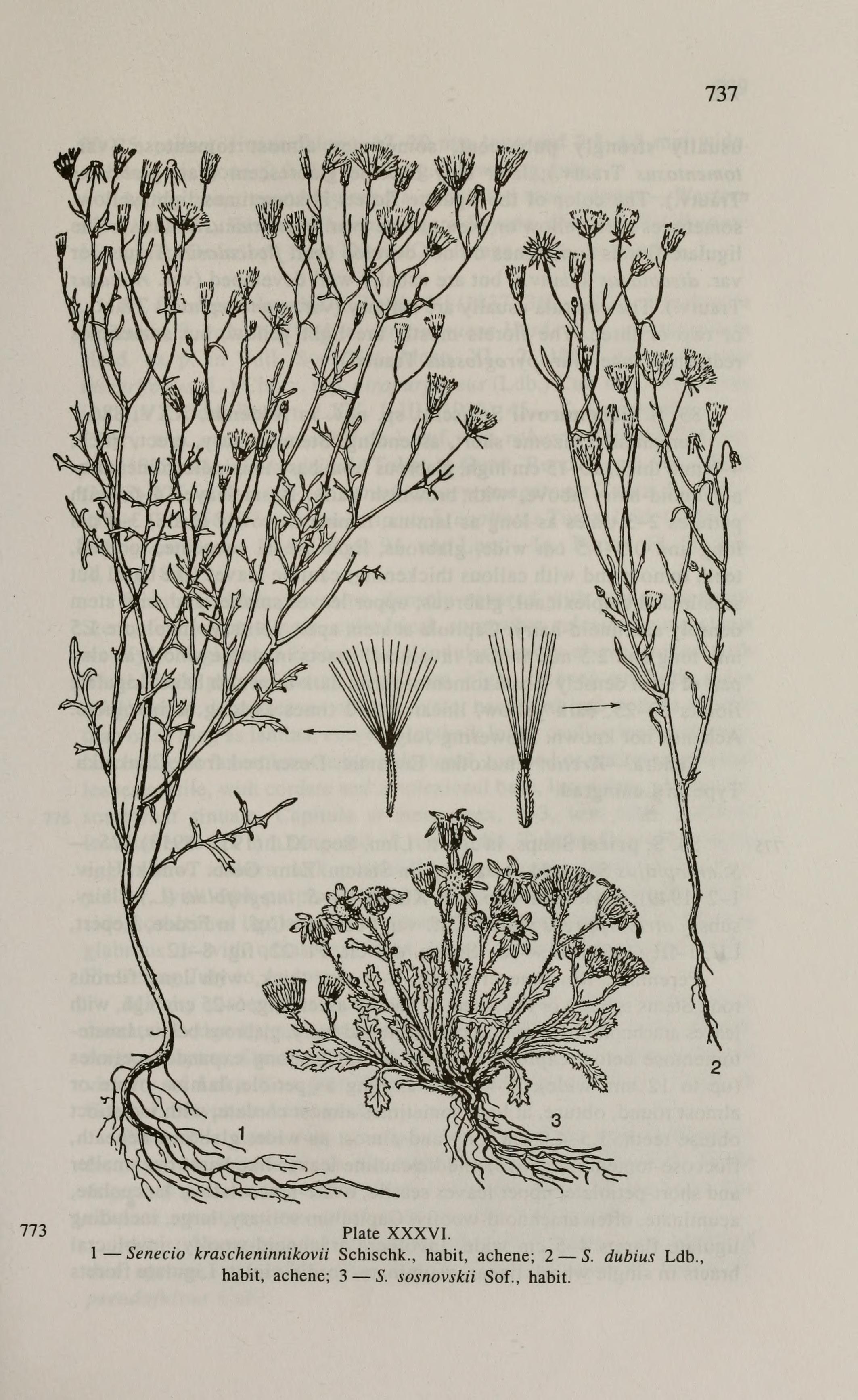 no full size  illustration available (3a)