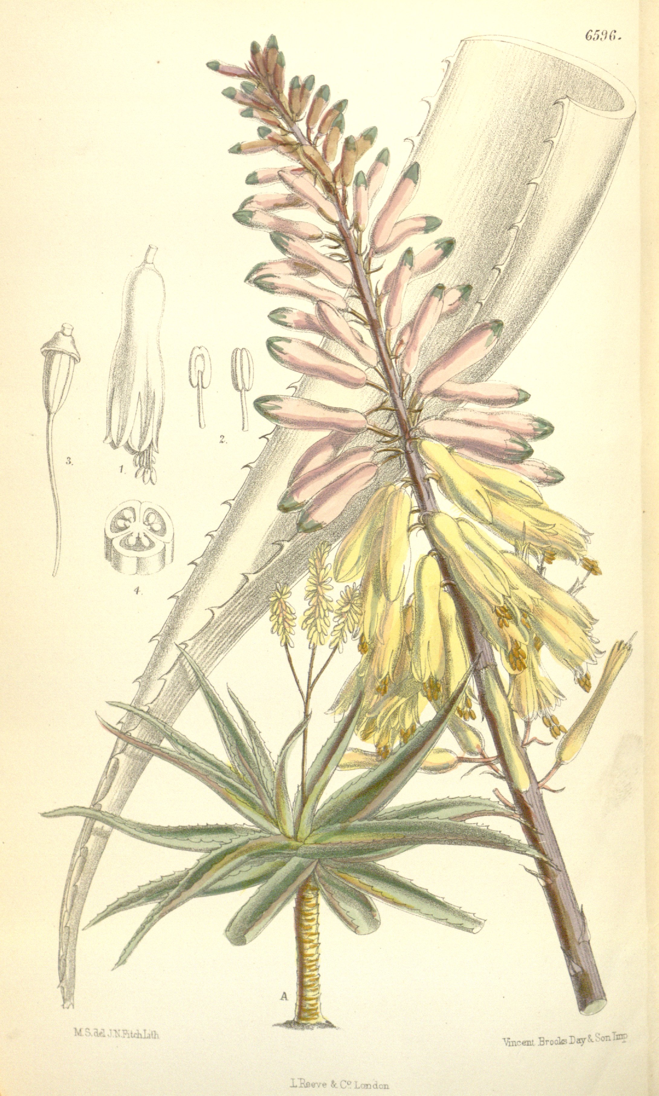 no full size  illustration available (3a)