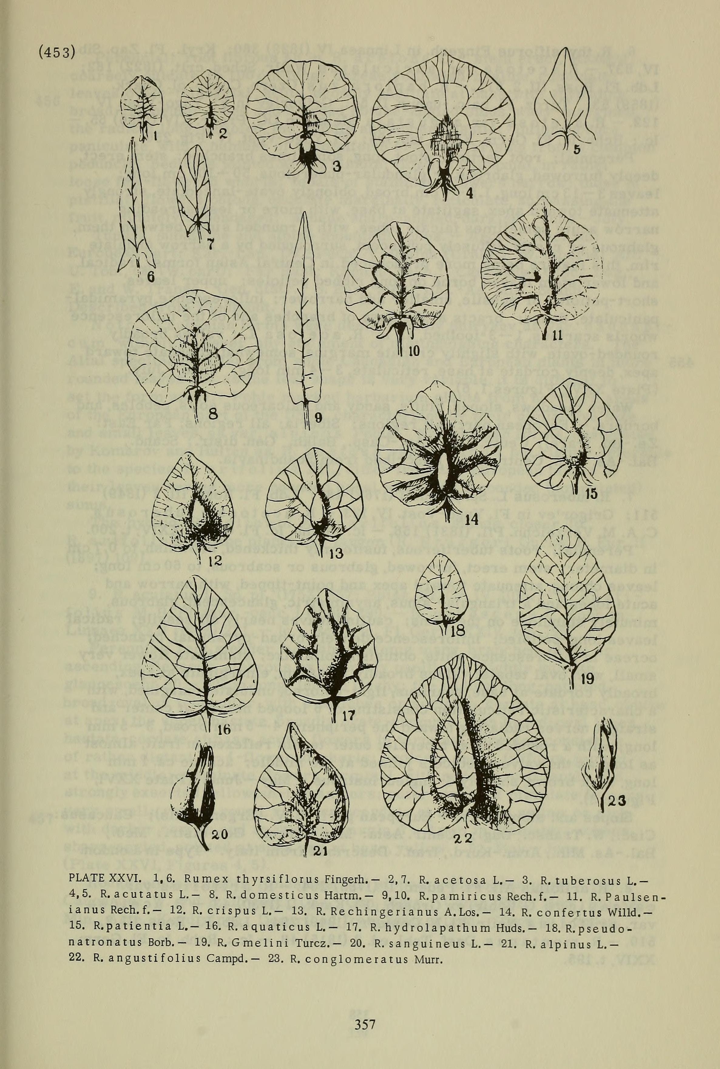 no full size  illustration available (3a)