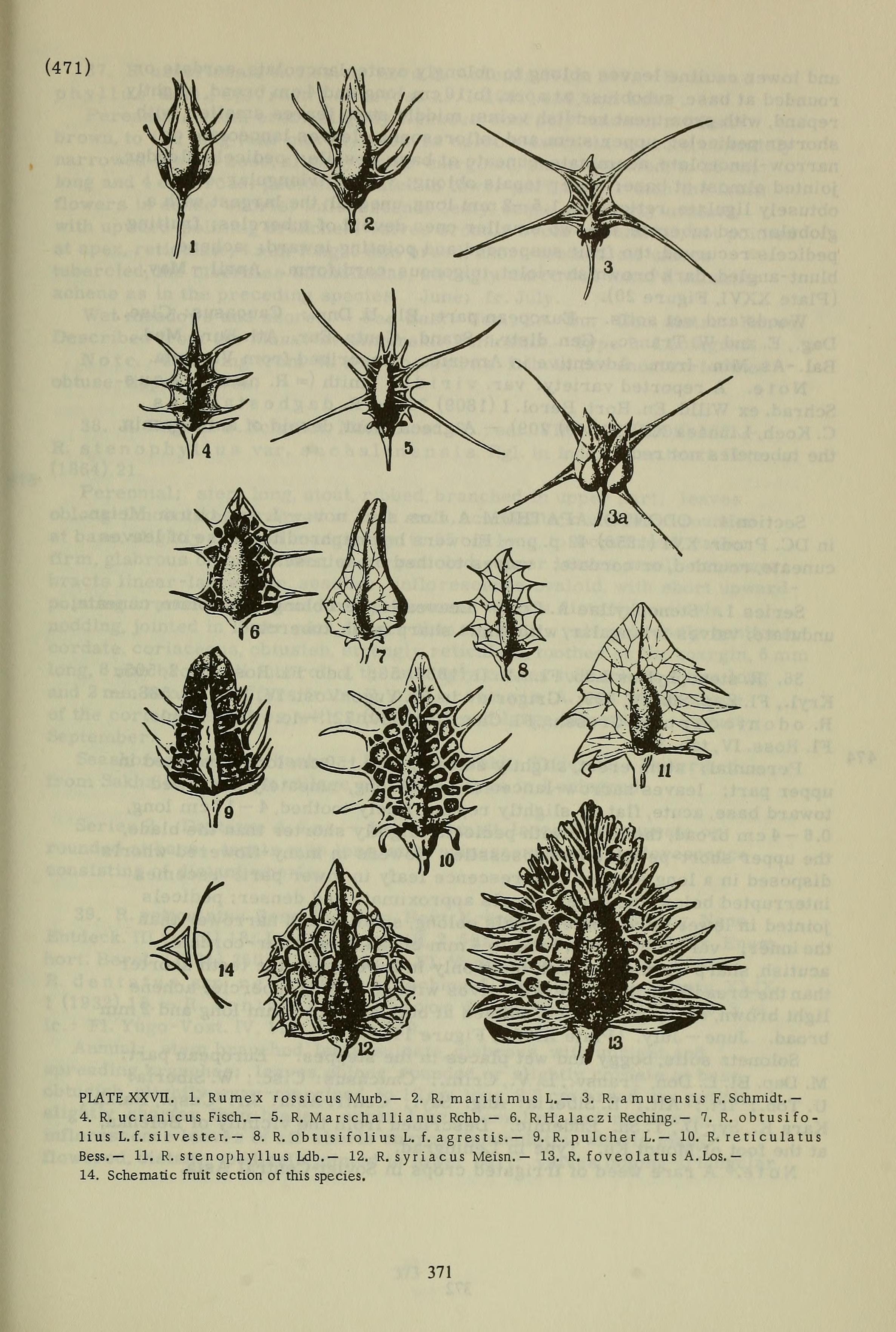 no full size  illustration available (3a)