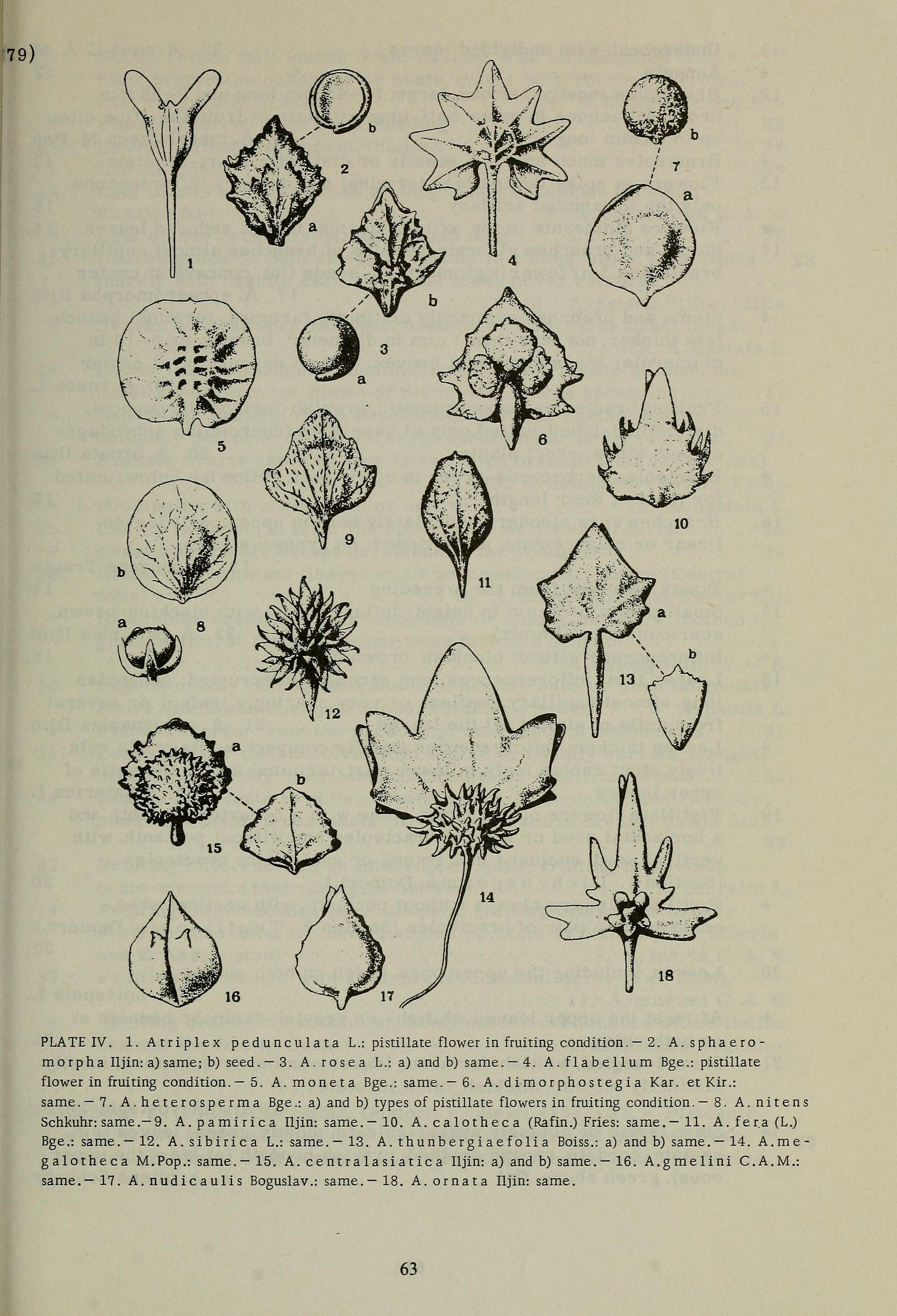 no full size  illustration available (3a)