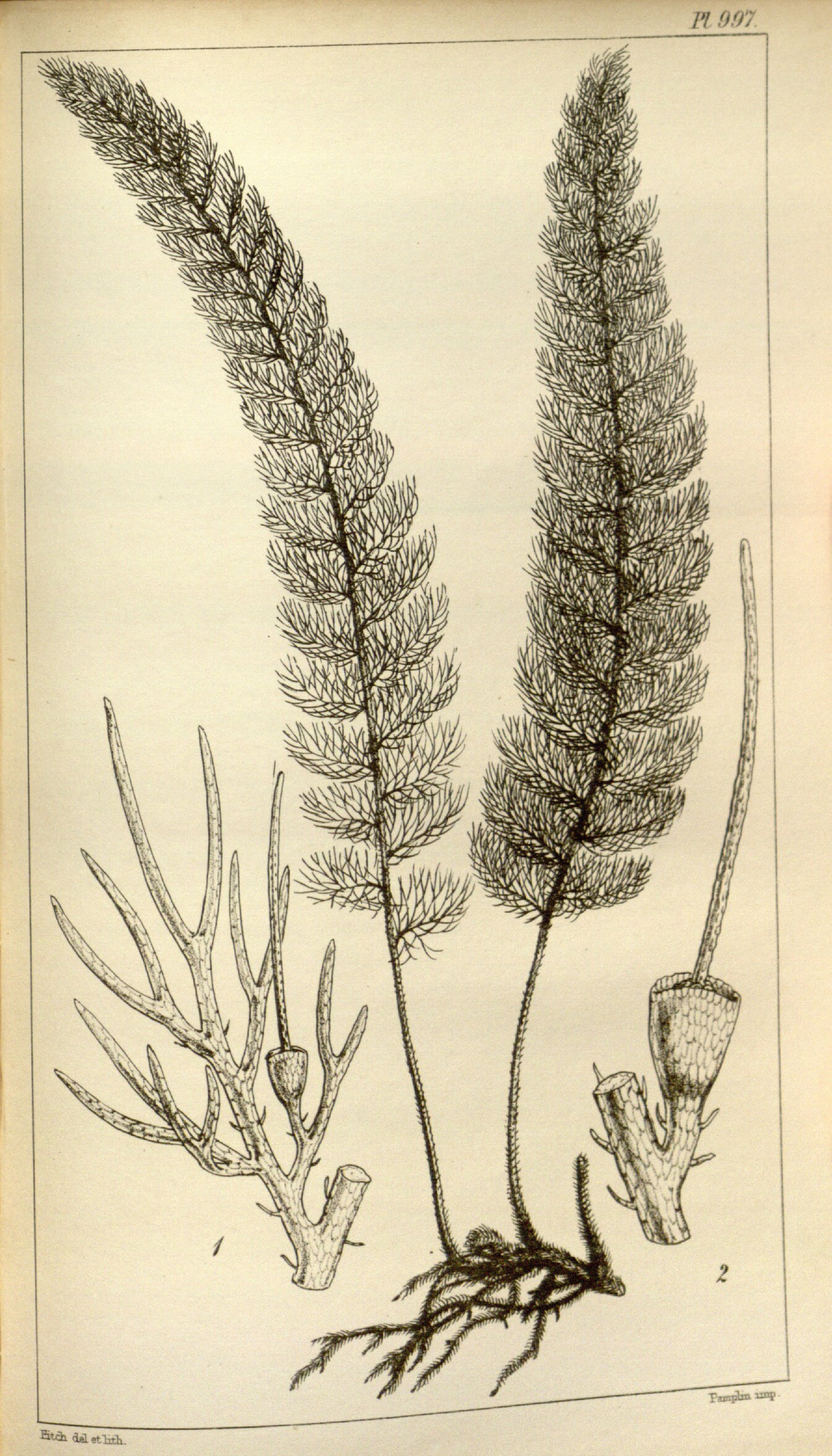 no full size  illustration available (3a)