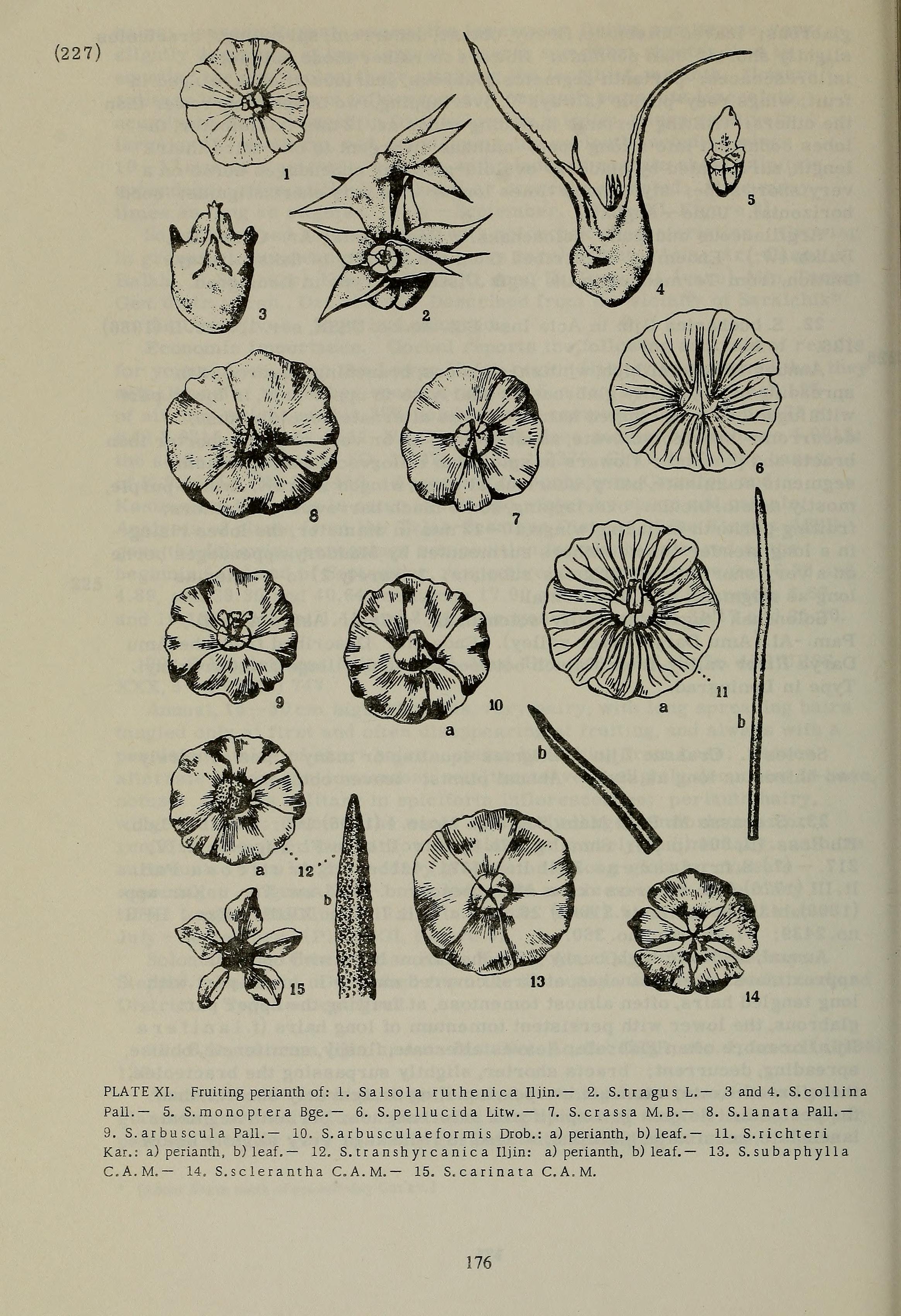 no full size  illustration available (3a)