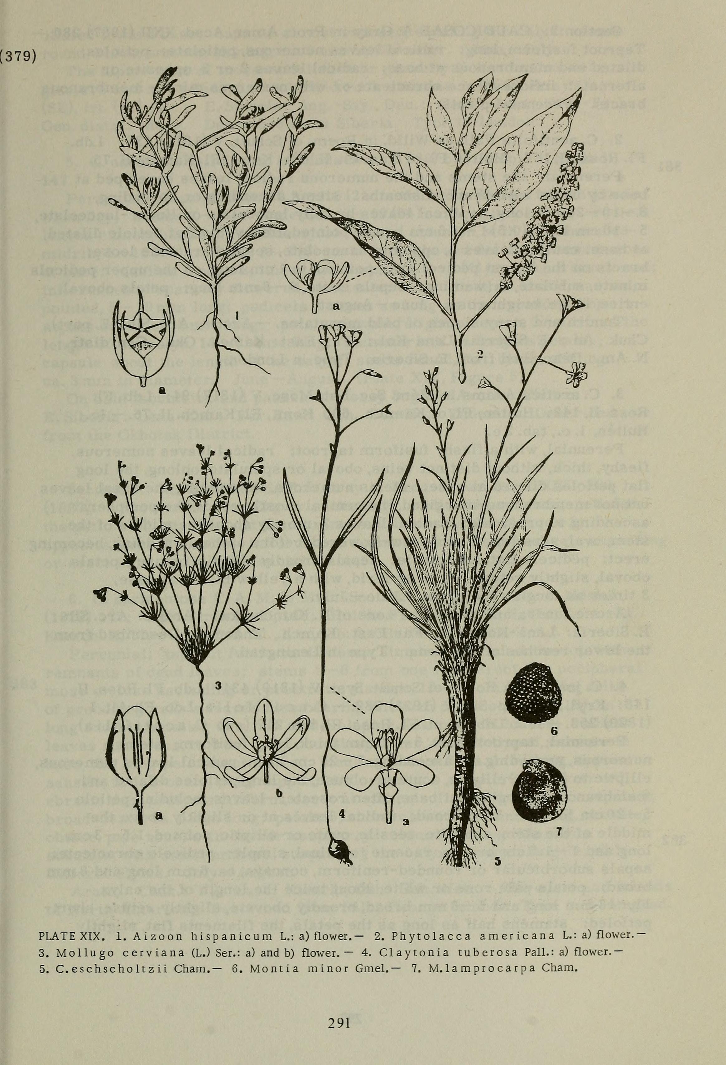 no full size  illustration available (3a)