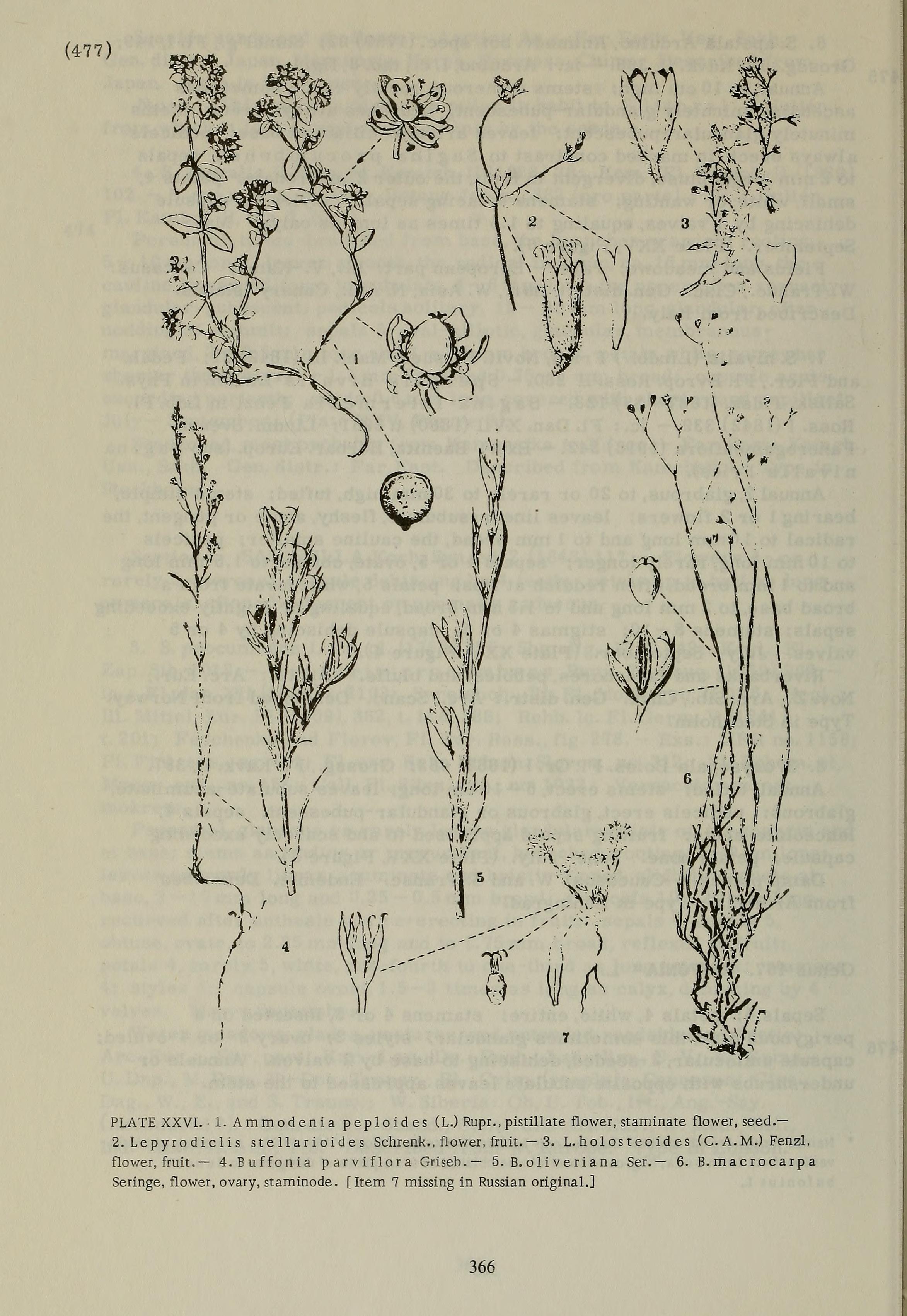 no full size  illustration available (3a)