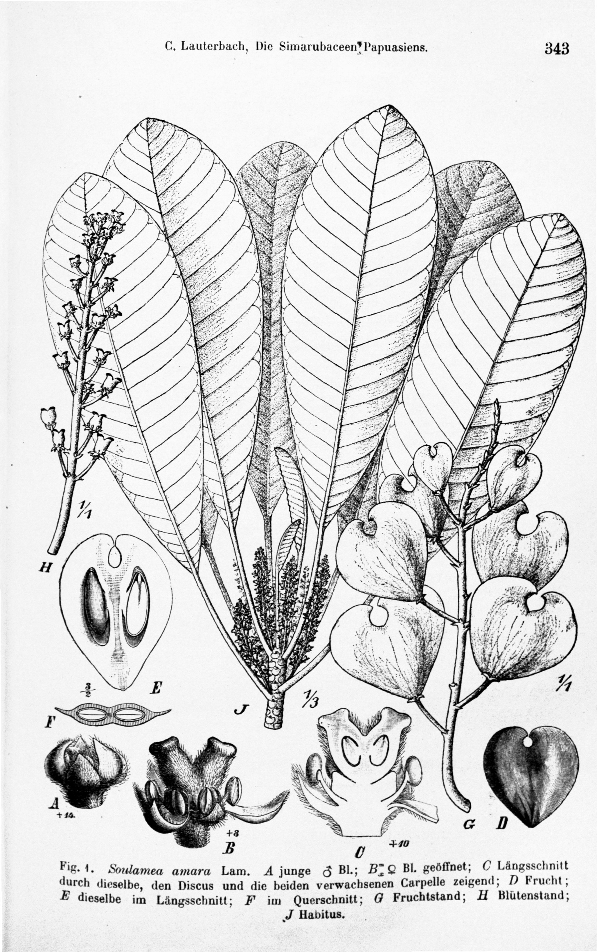 no full size  illustration available (3a)