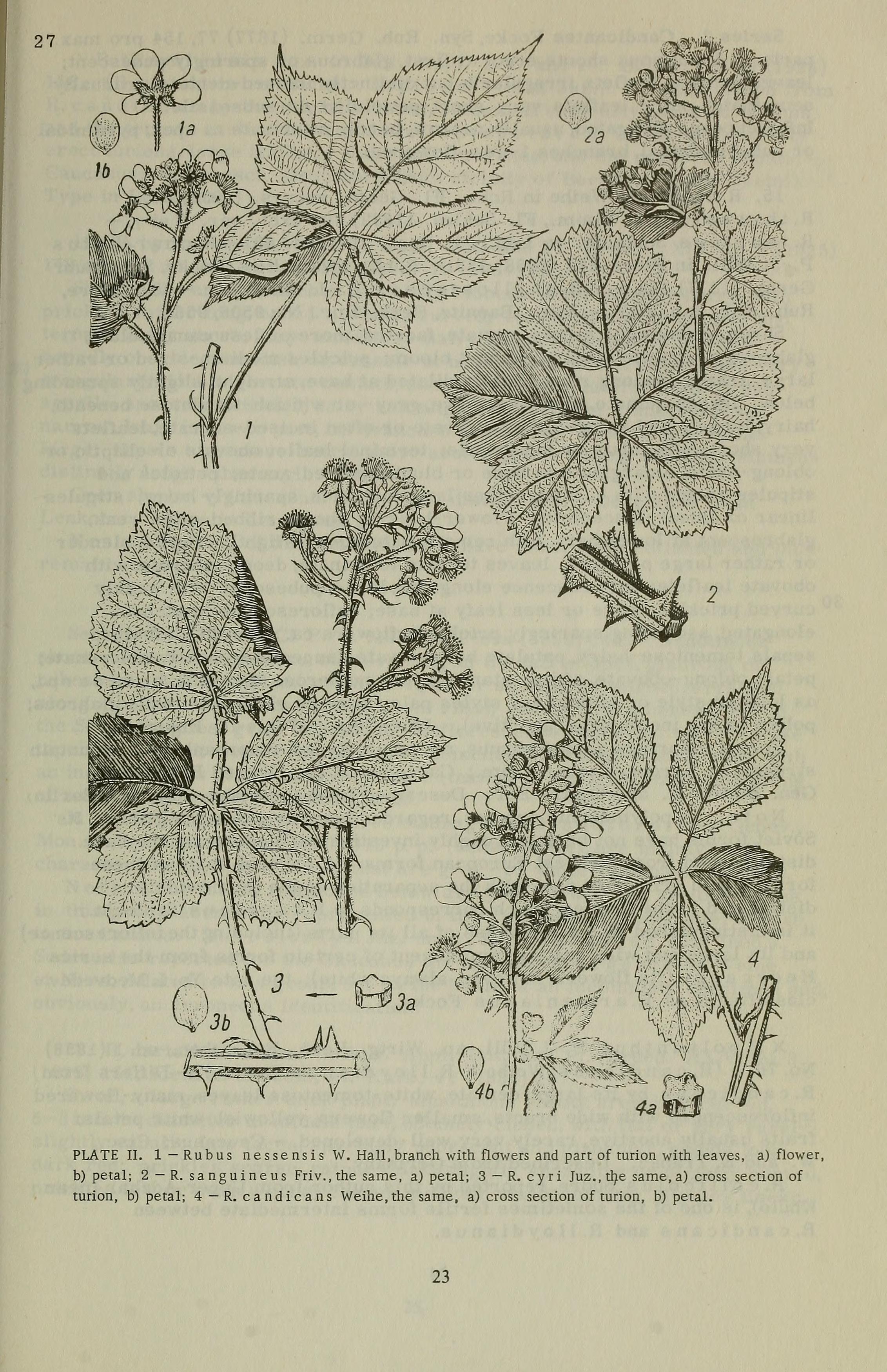 no full size  illustration available (3a)