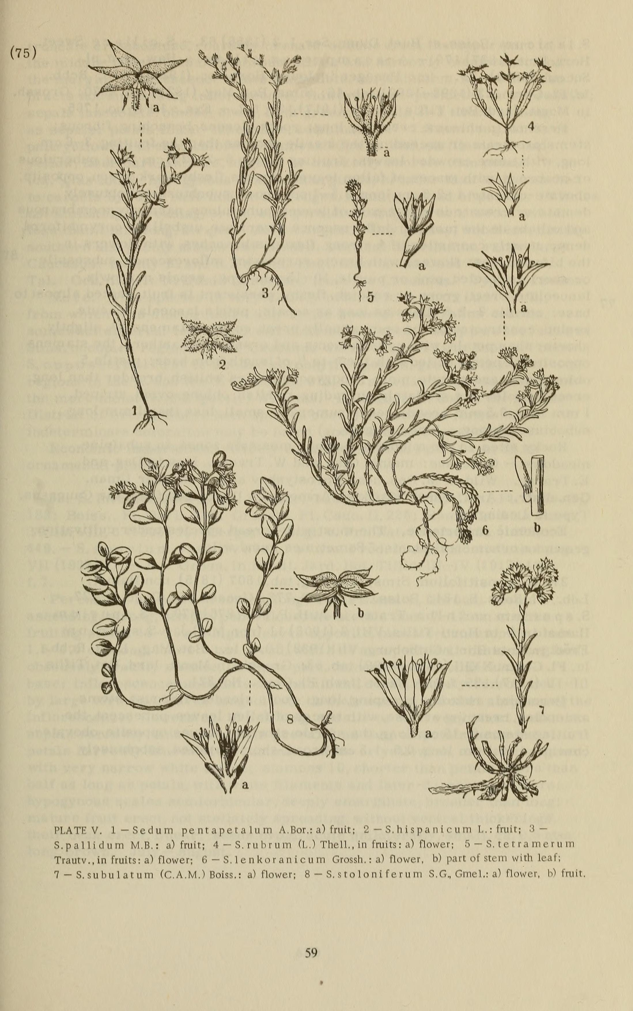 no full size  illustration available (3a)