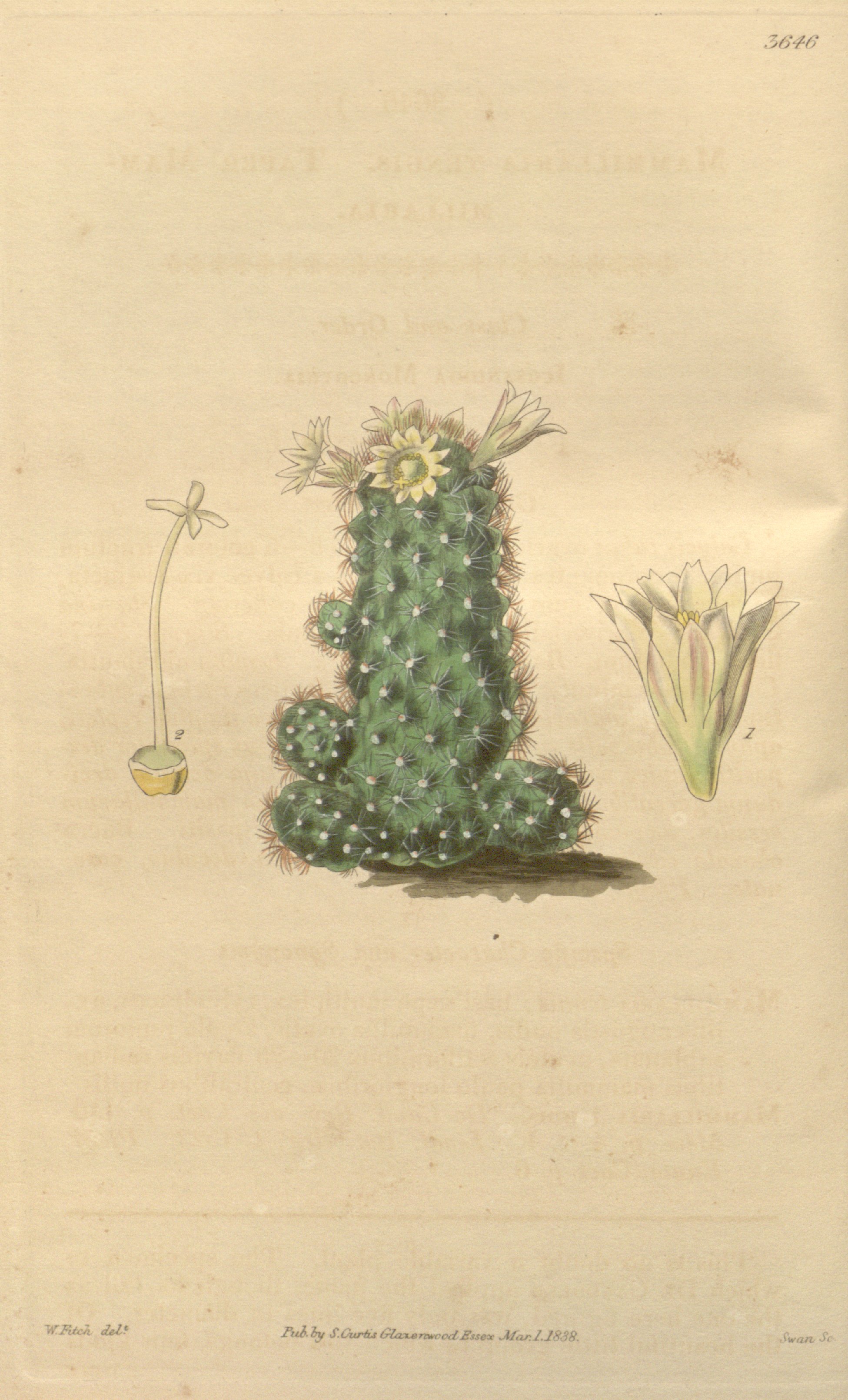 no full size  illustration available (3a)