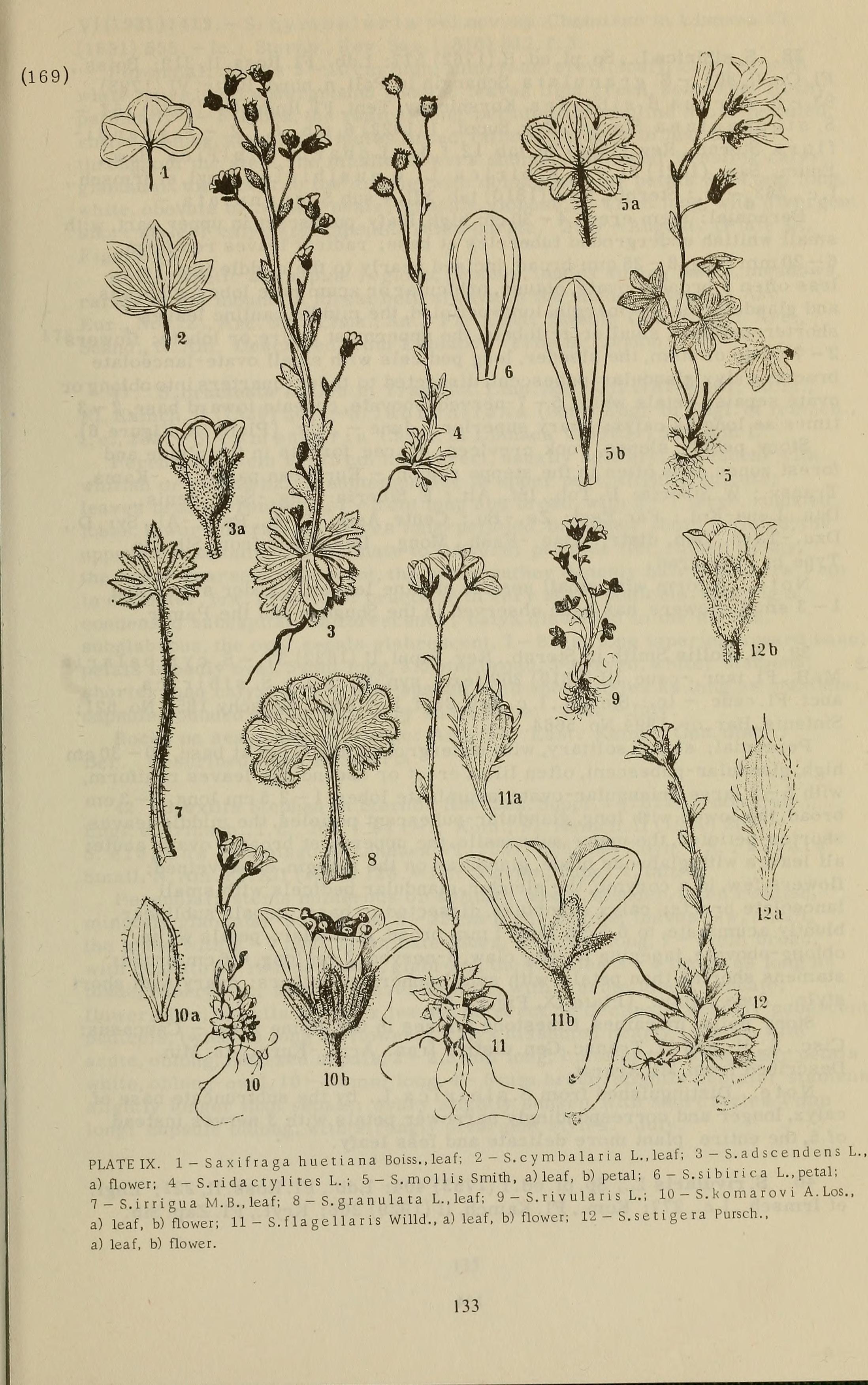 no full size  illustration available (3a)