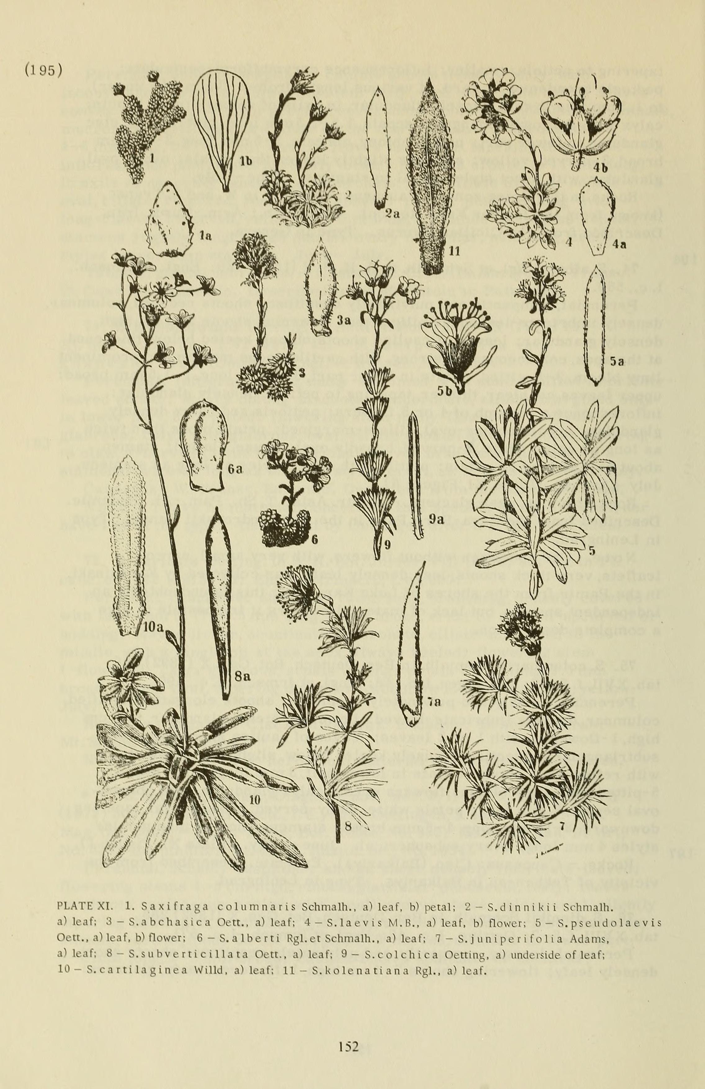 no full size  illustration available (3a)