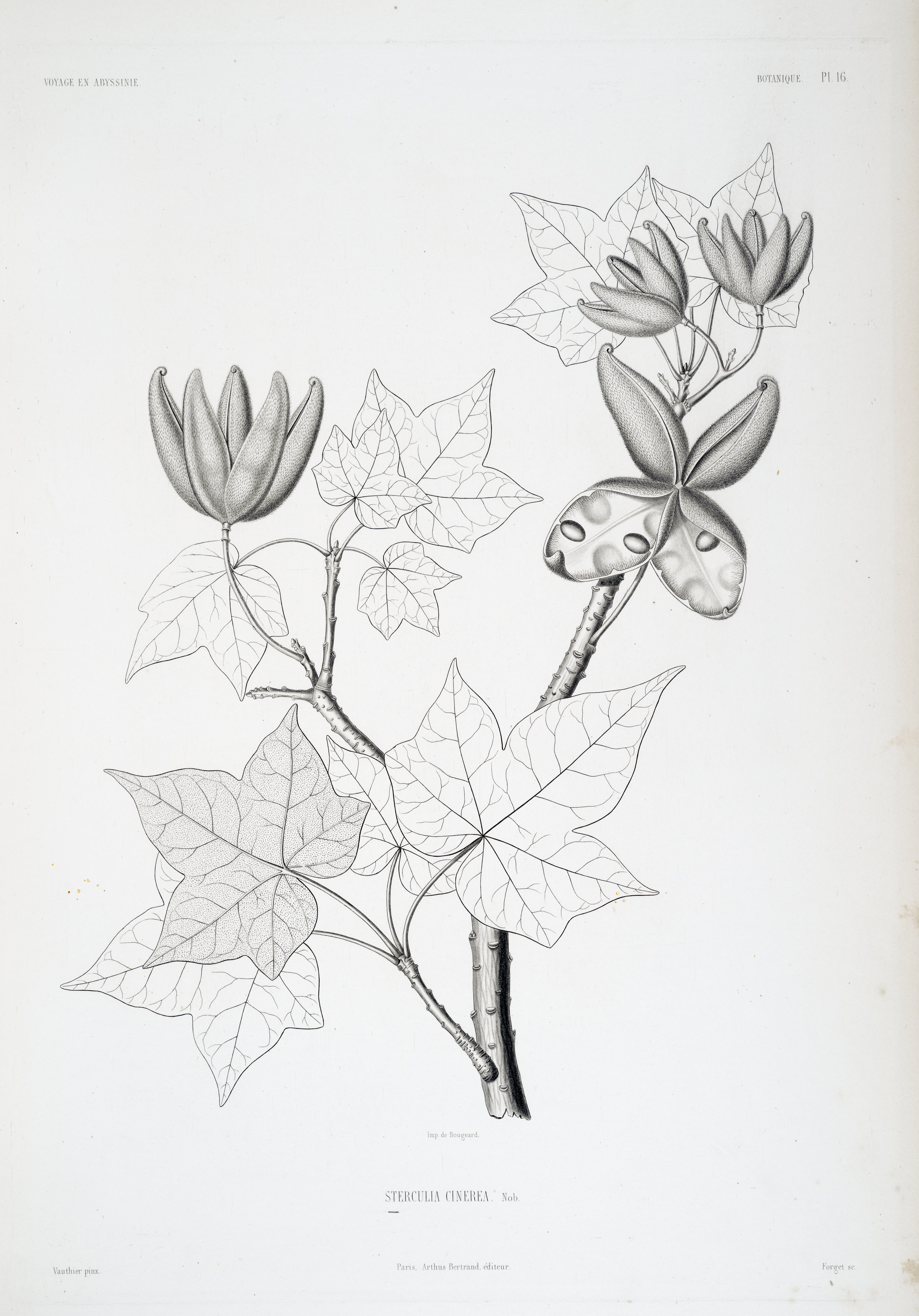 no full size  illustration available (3a)