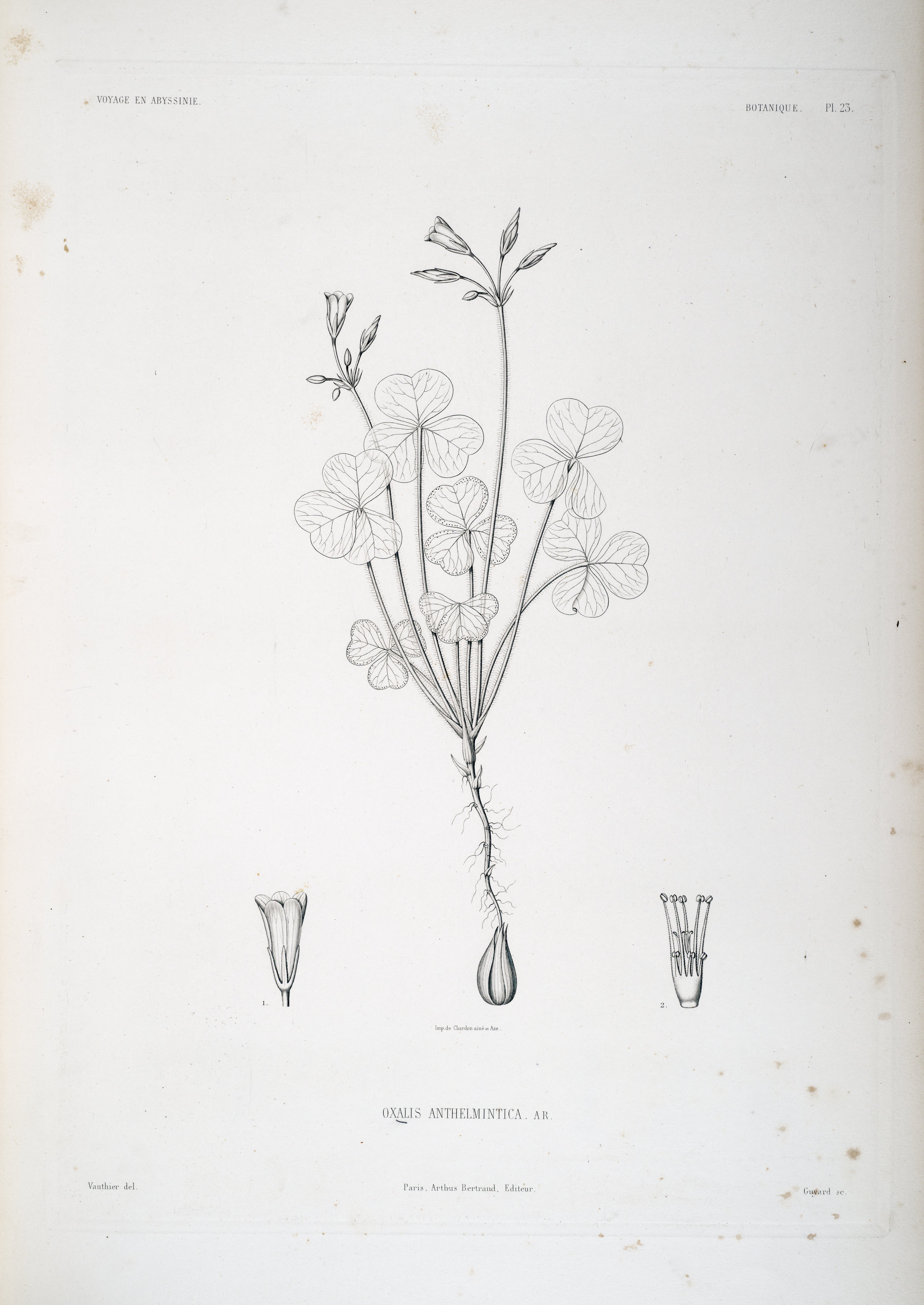 no full size  illustration available (3a)