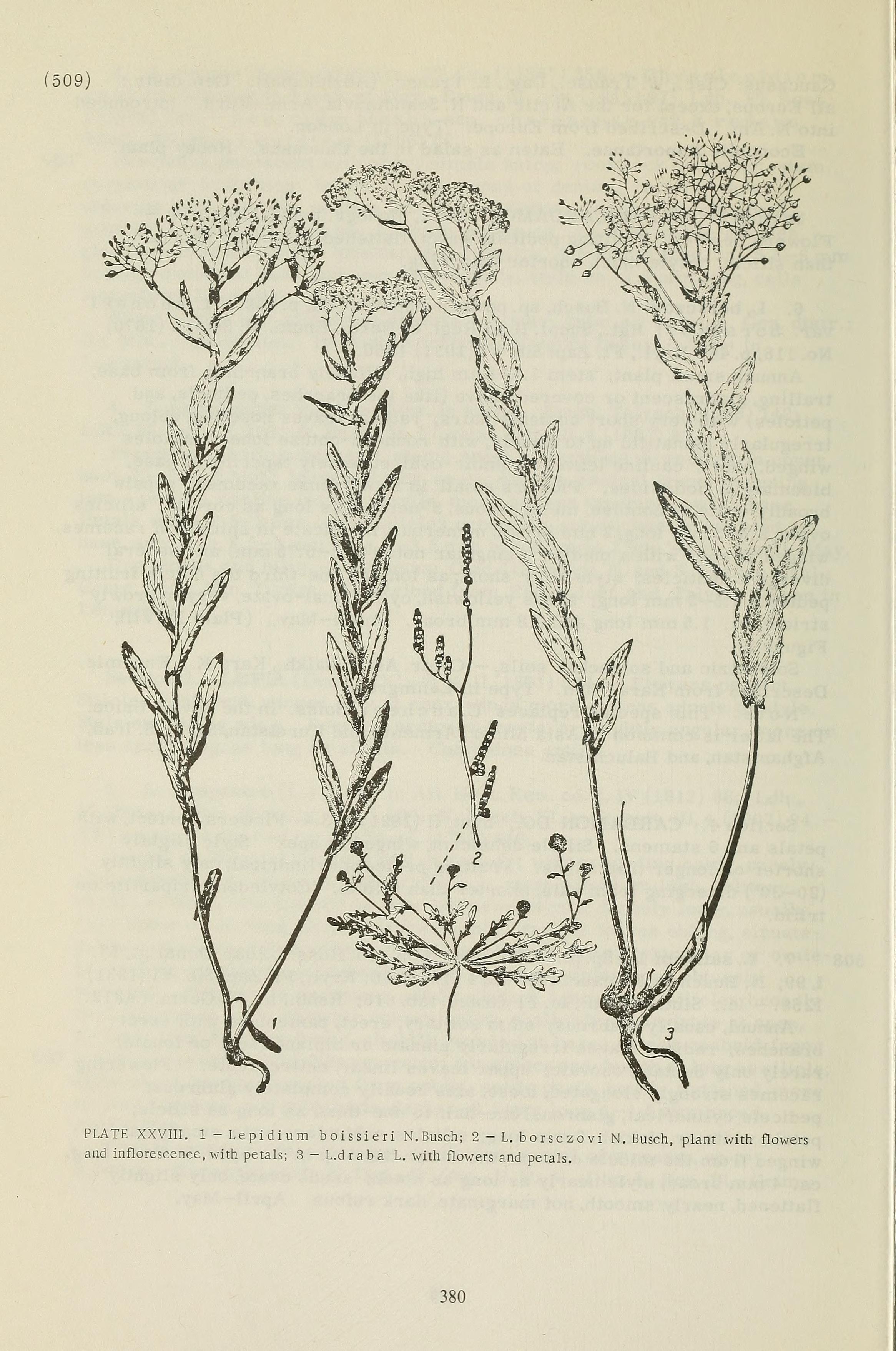 no full size  illustration available (3a)