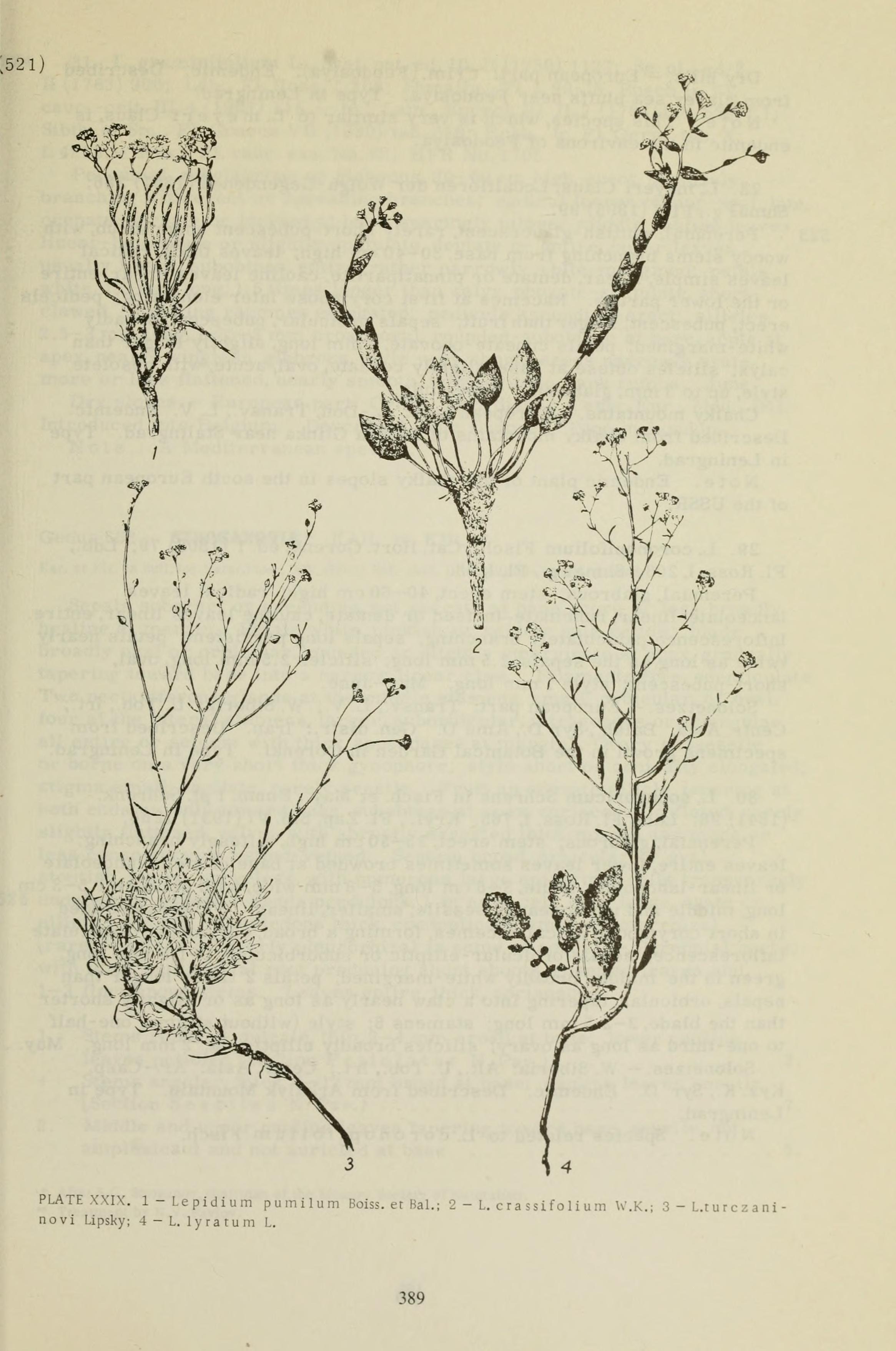 no full size  illustration available (3a)