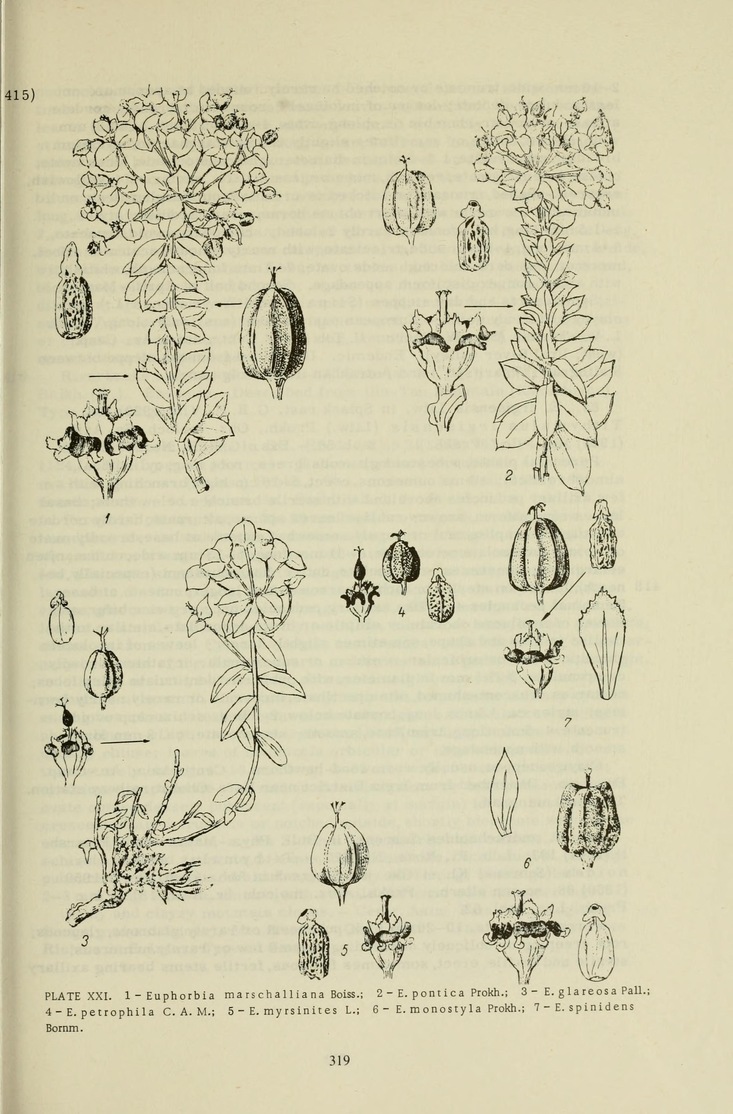 no full size  illustration available (3a)