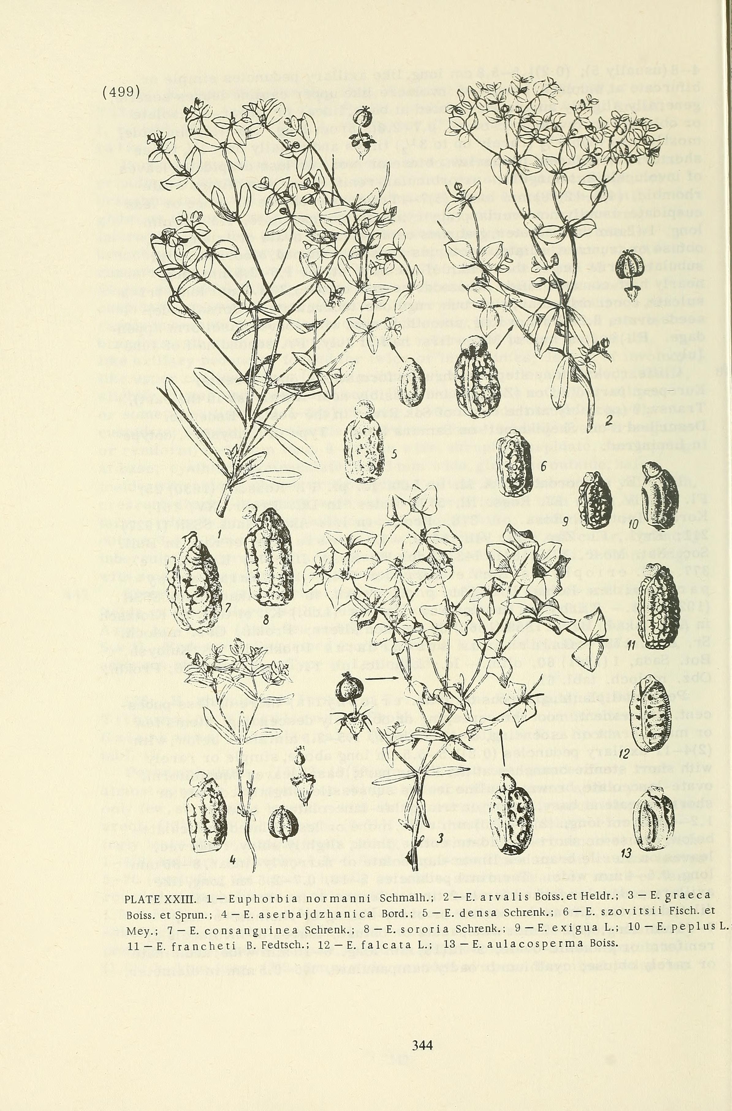 no full size  illustration available (3a)