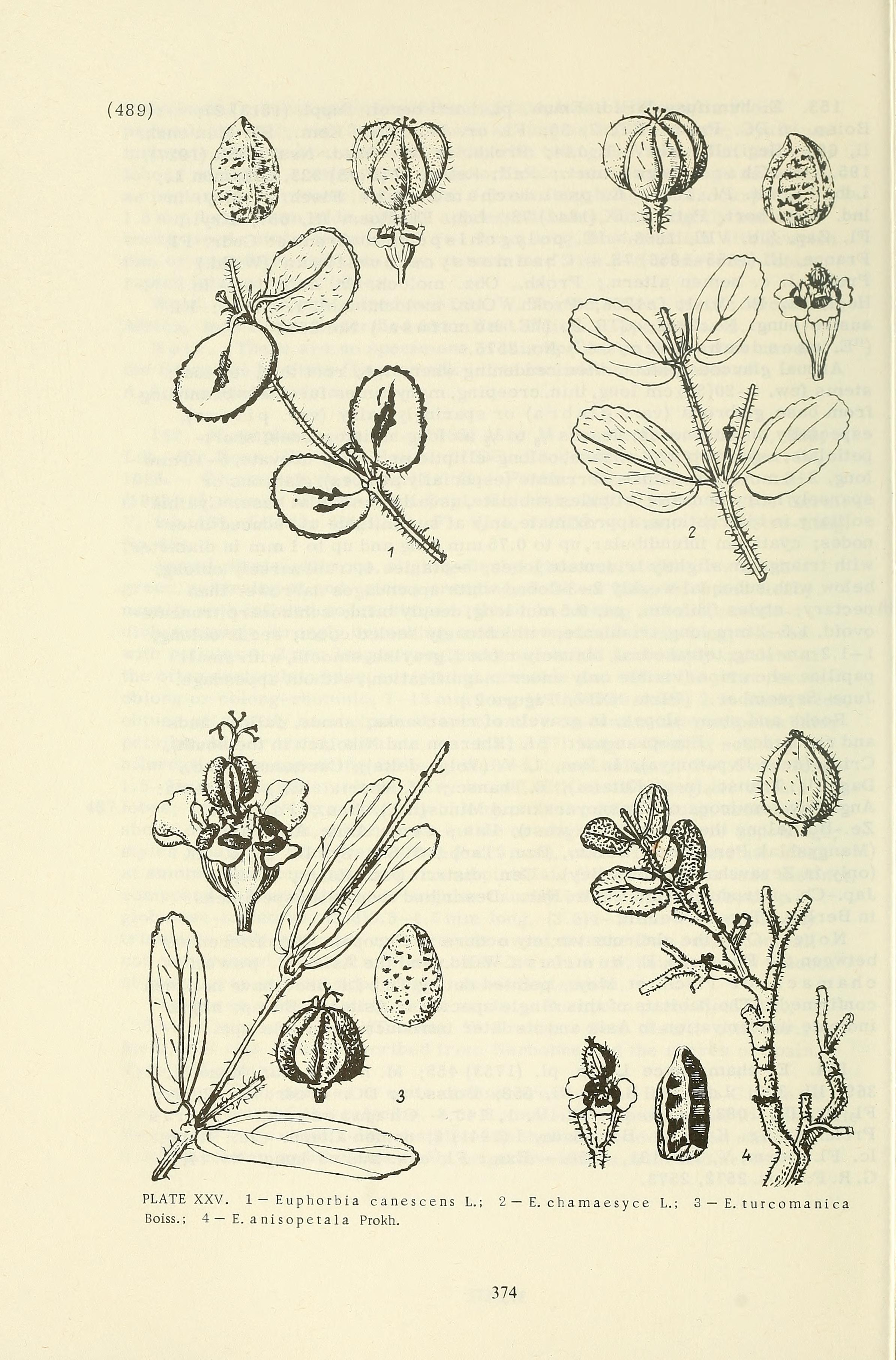 no full size  illustration available (3a)