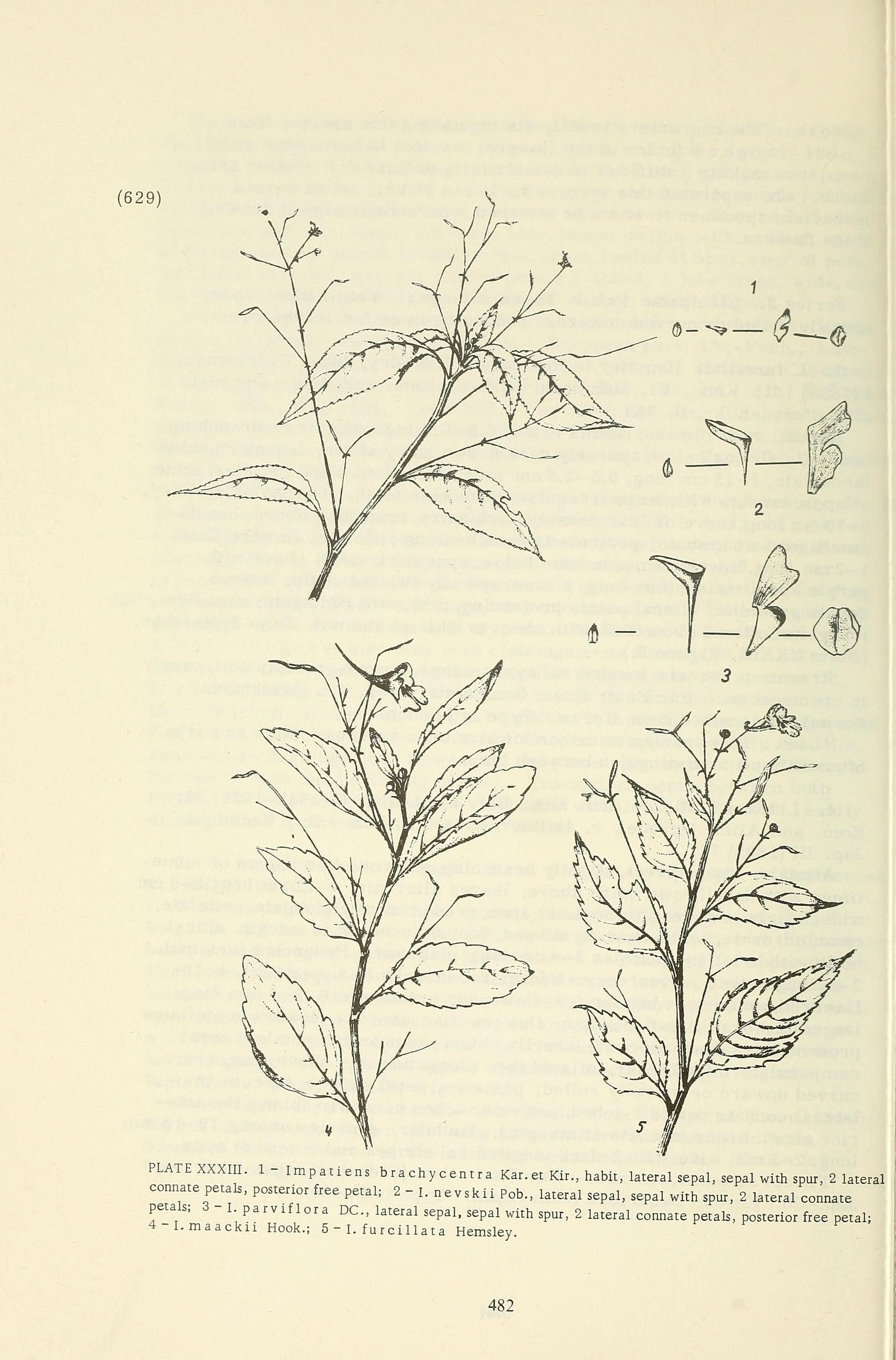 no full size  illustration available (3a)