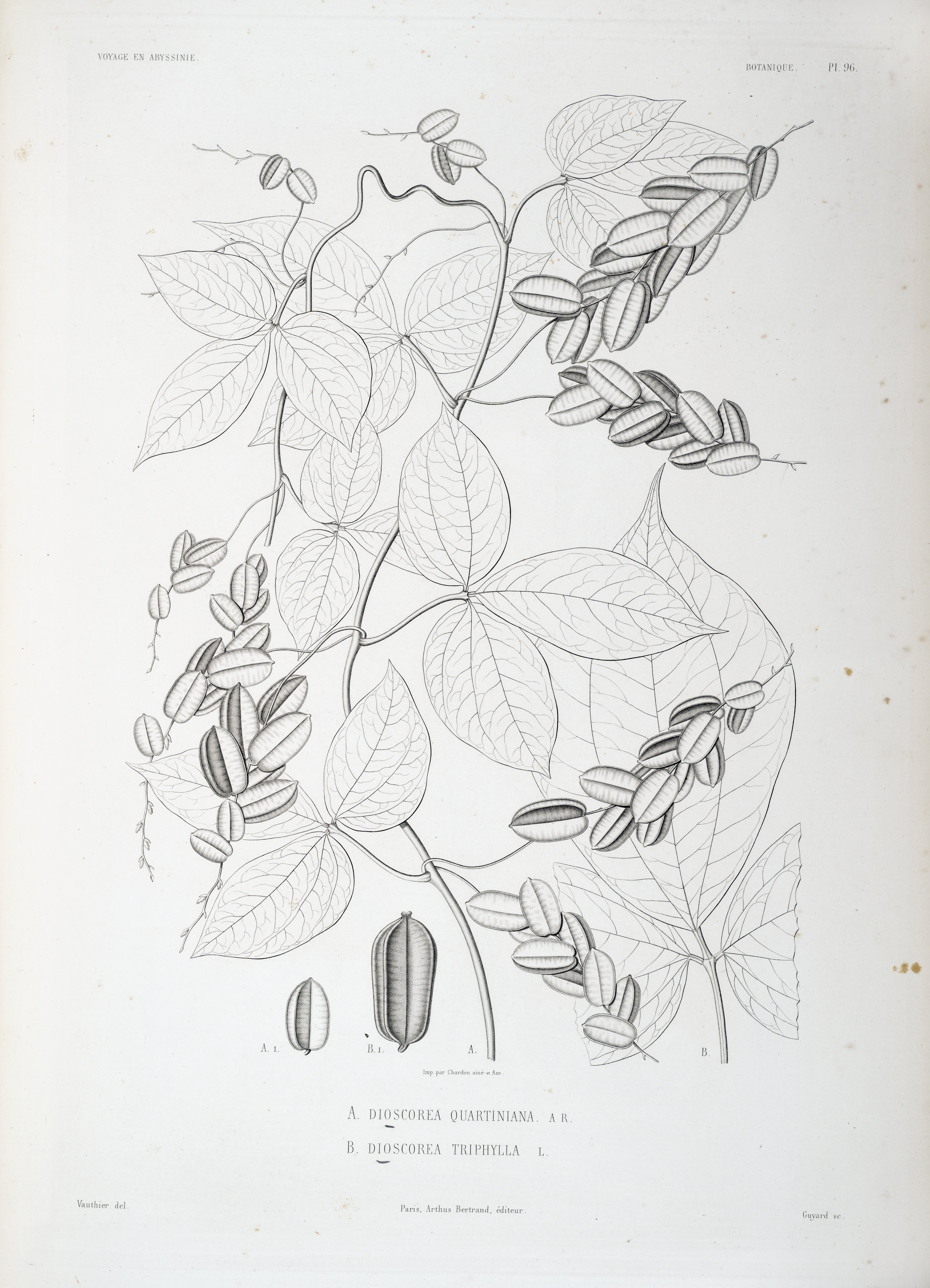 no full size  illustration available (3a)