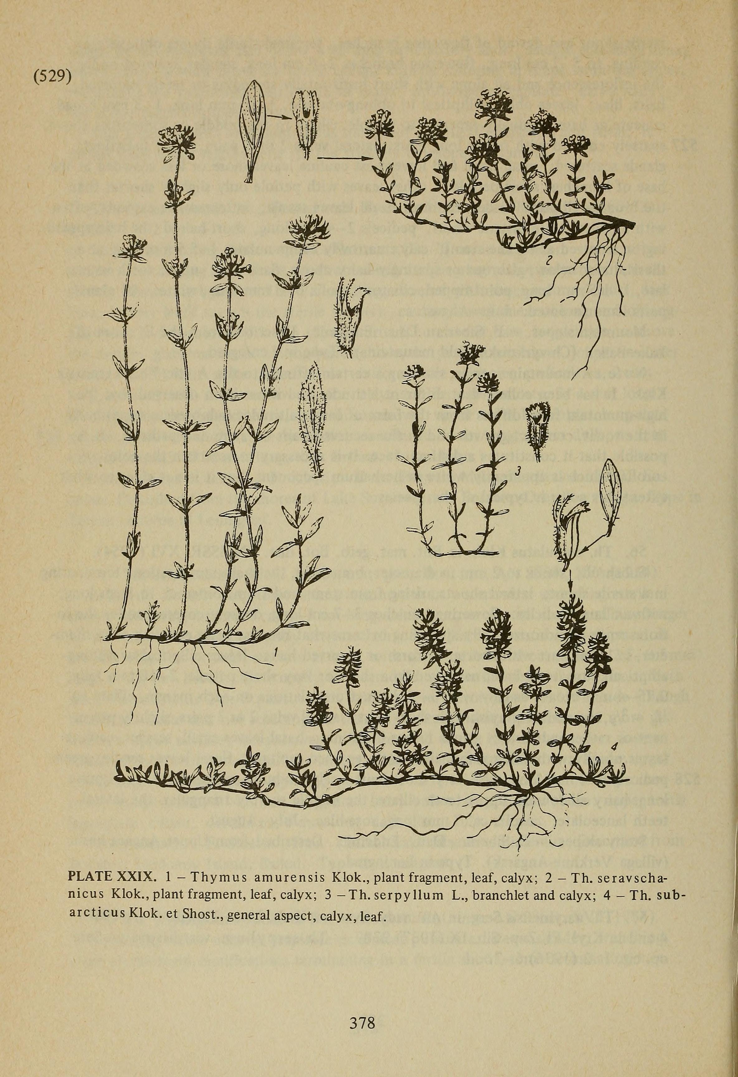 no full size  illustration available (3a)