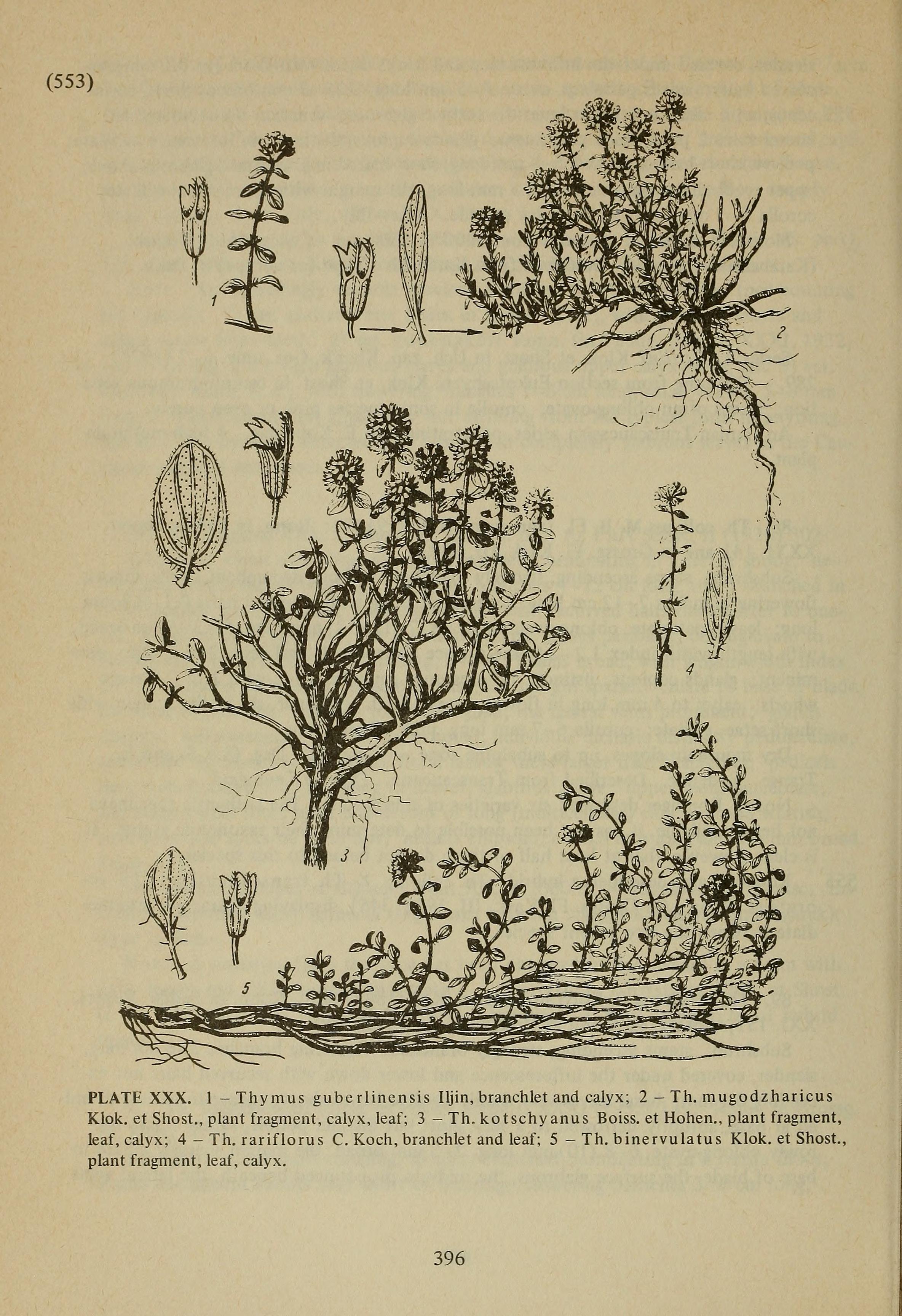 no full size  illustration available (3a)