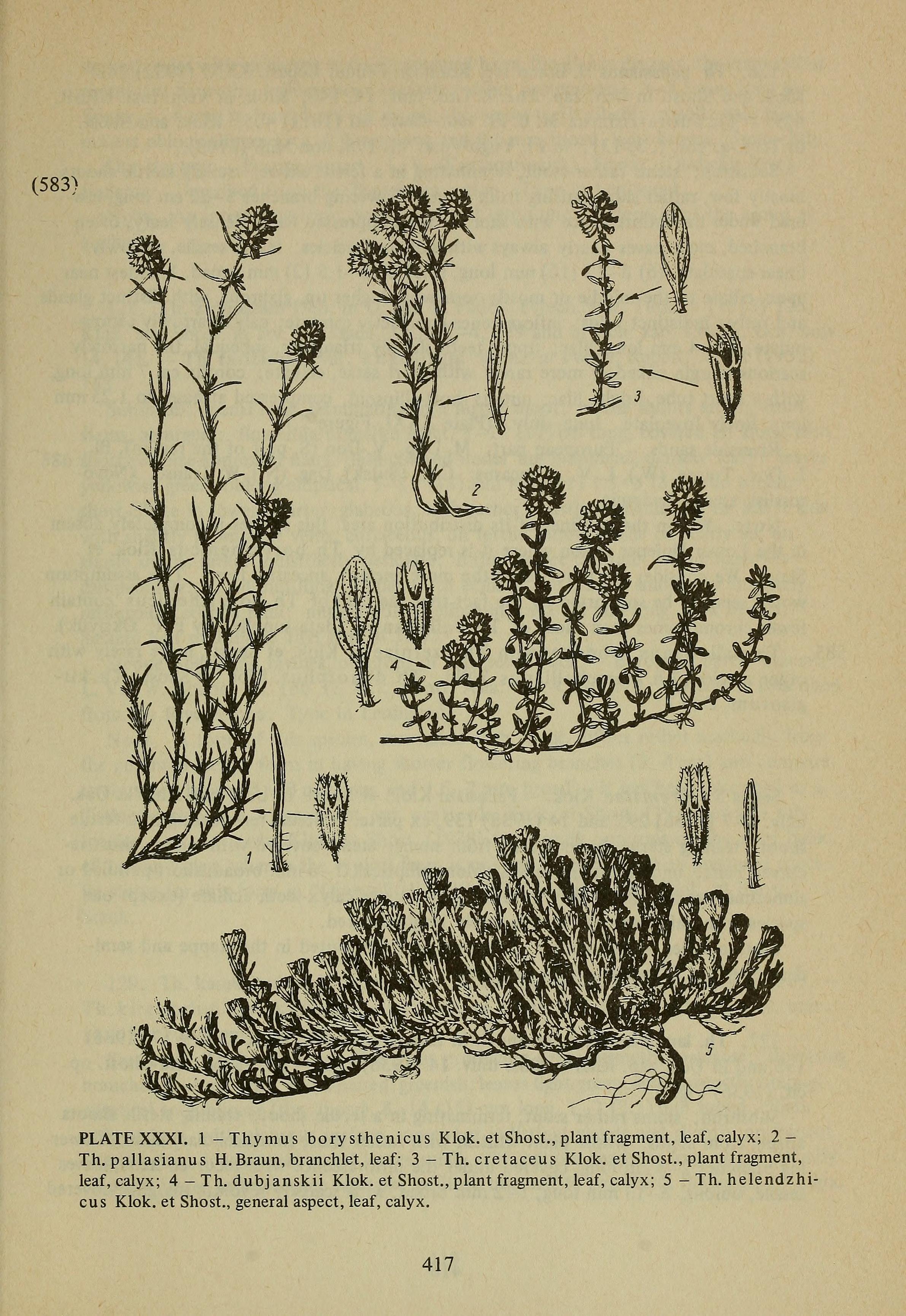 no full size  illustration available (3a)