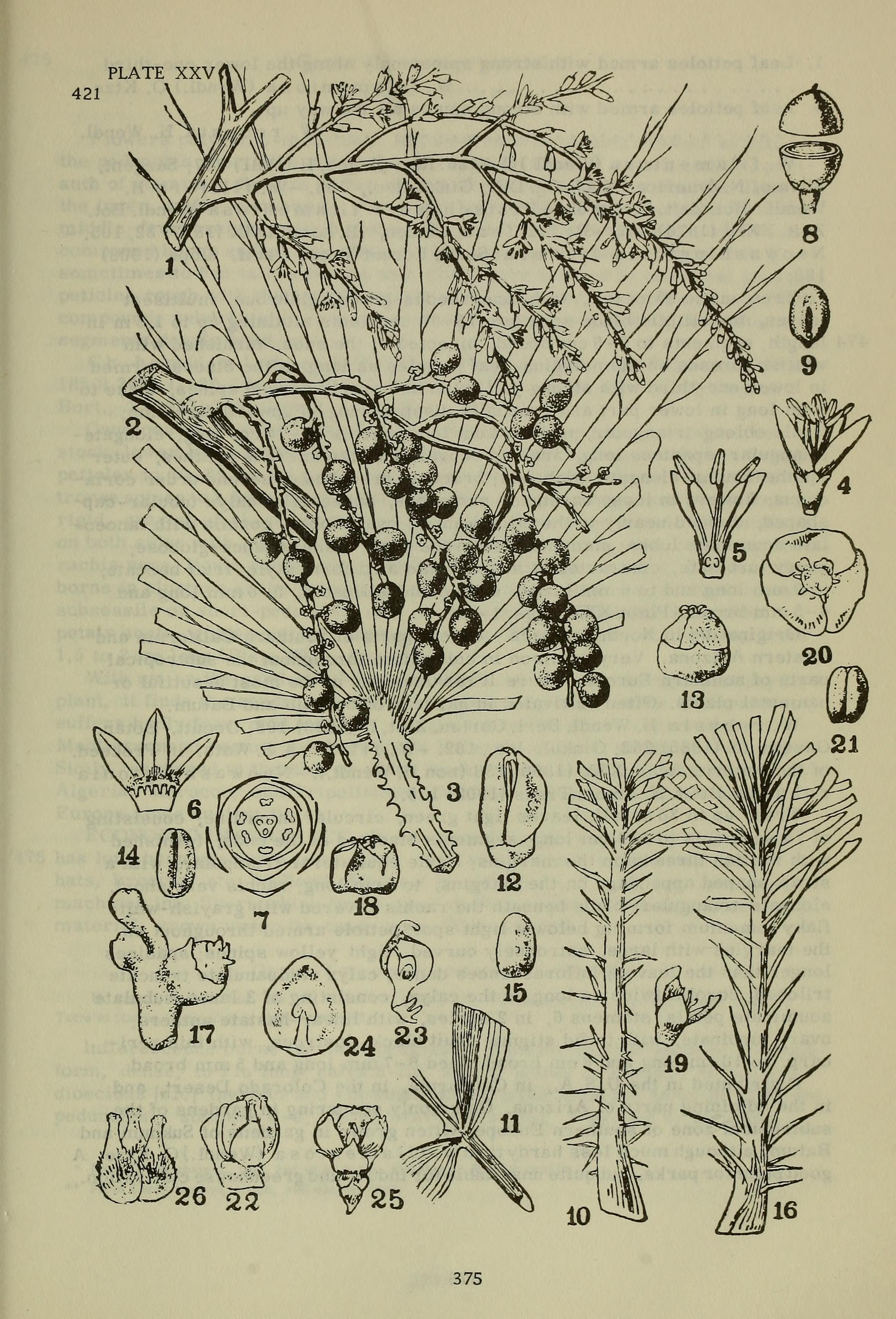 no full size  illustration available (3a)