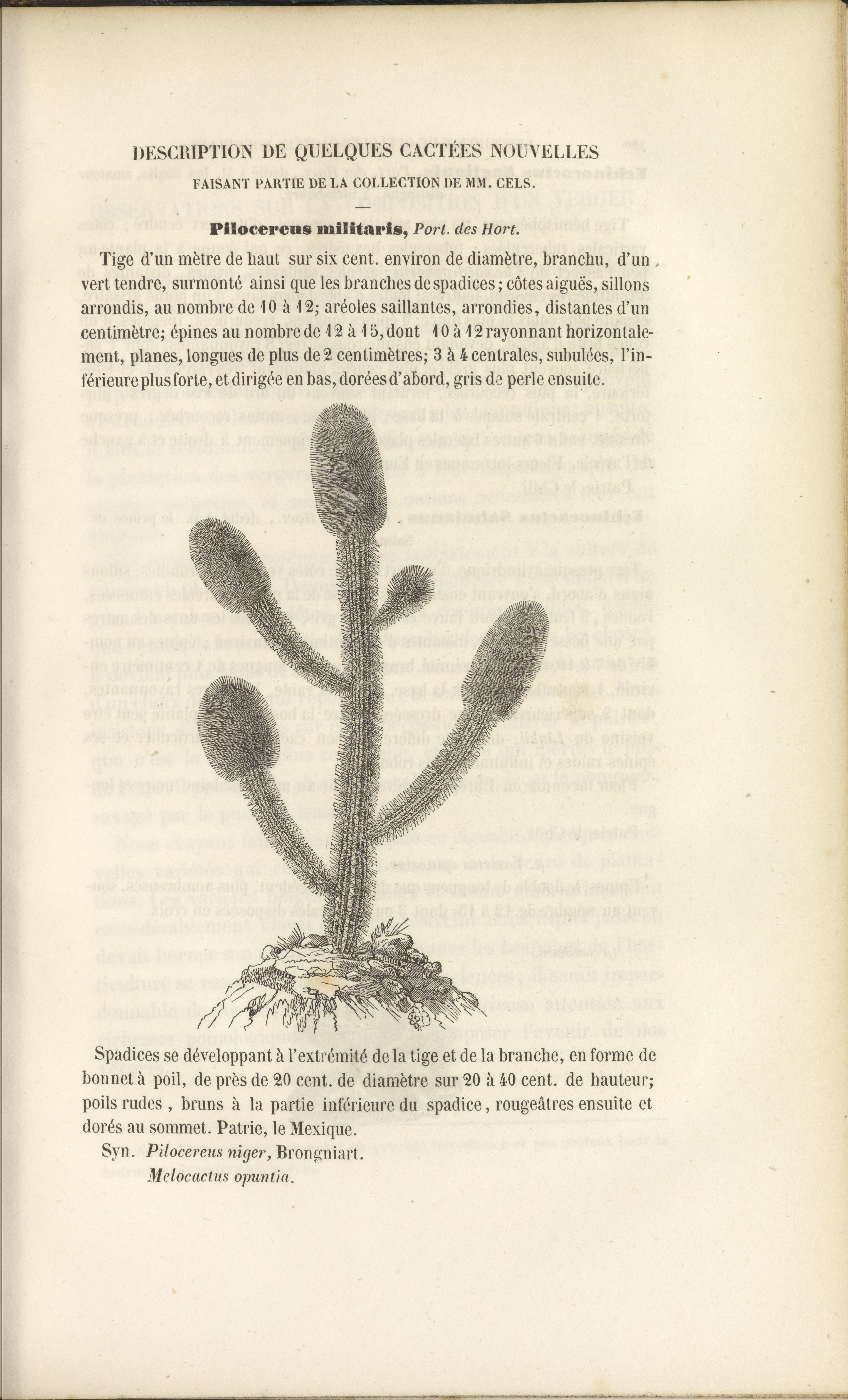 no full size  illustration available (3a)