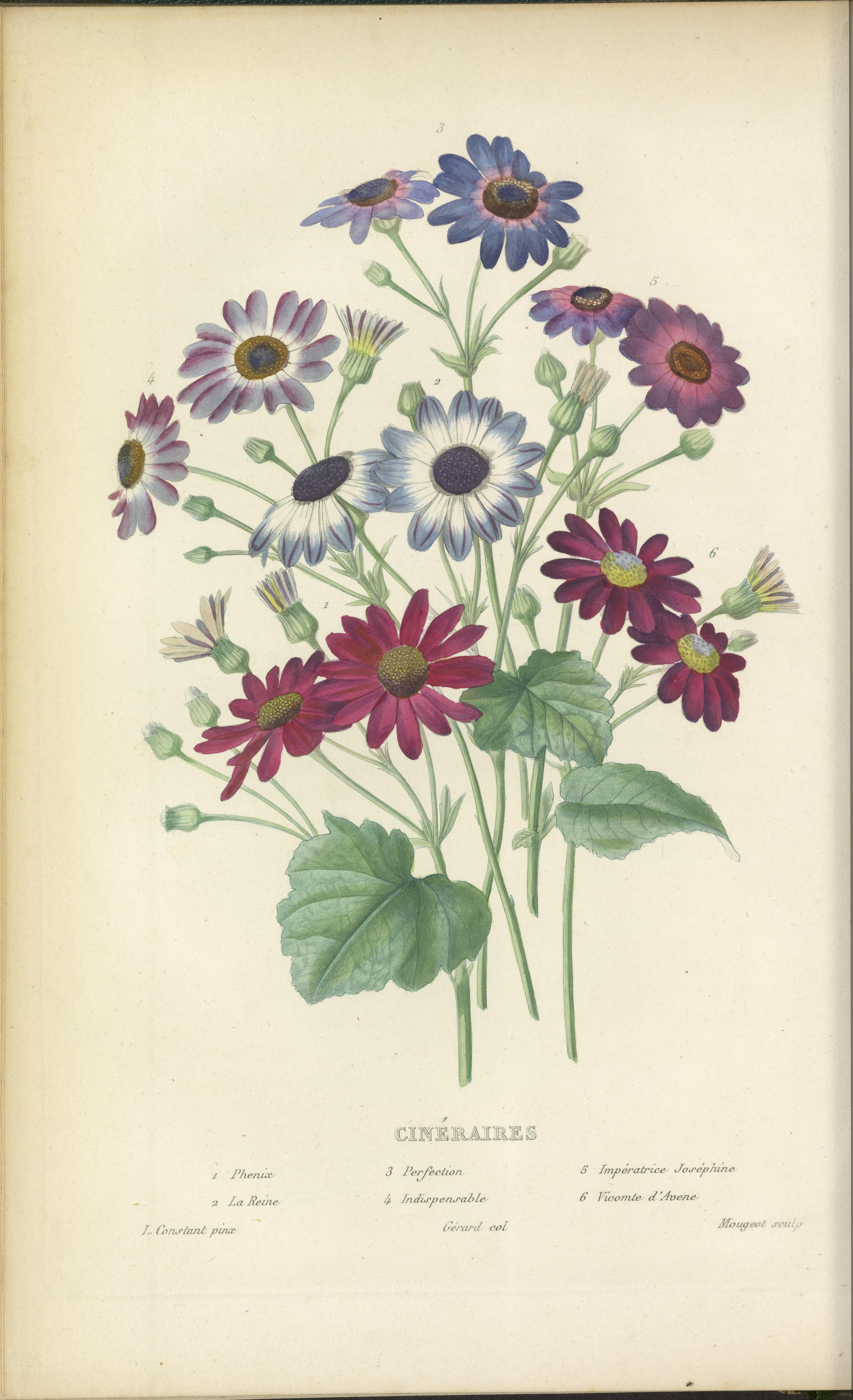 no full size  illustration available (3a)