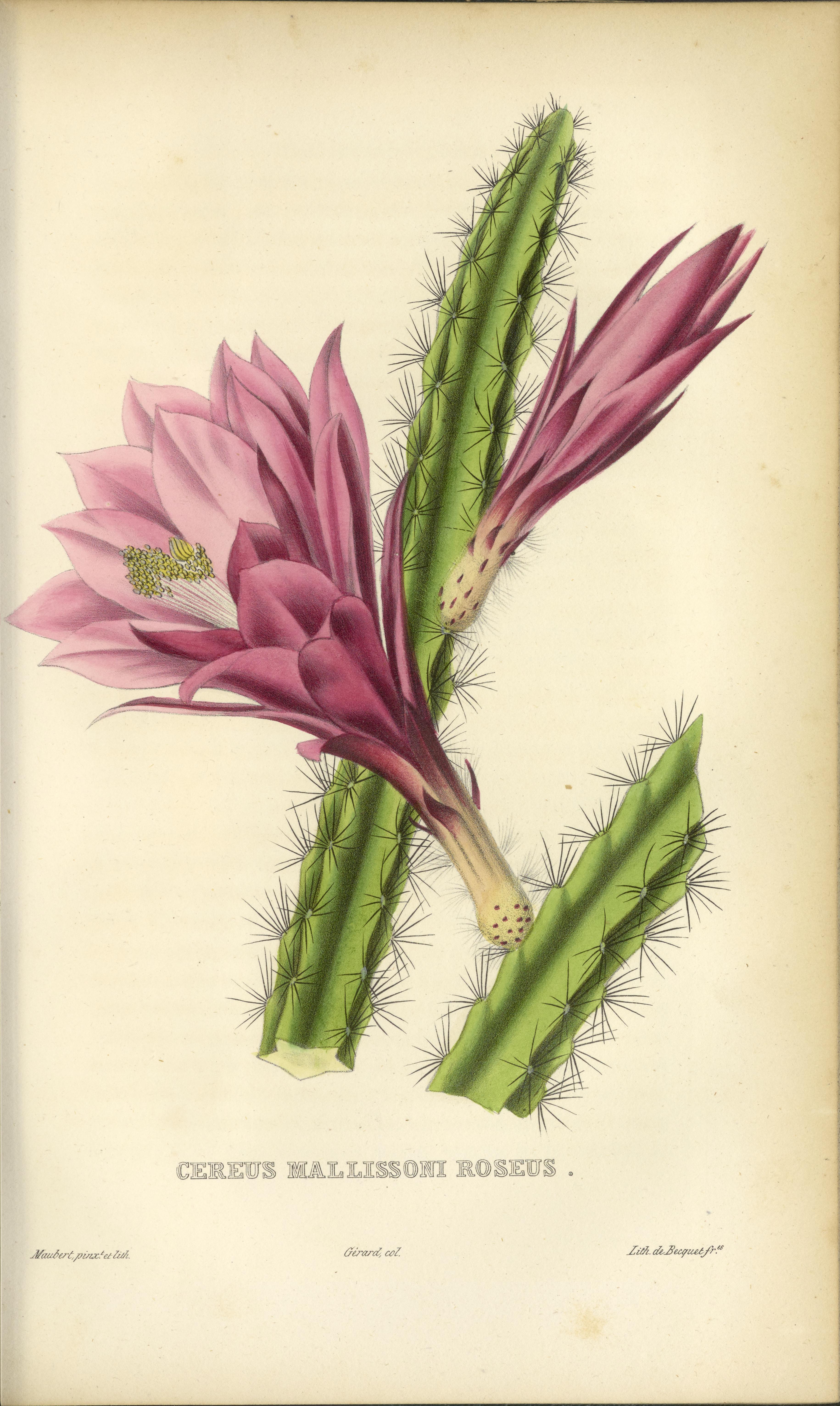 no full size  illustration available (3a)