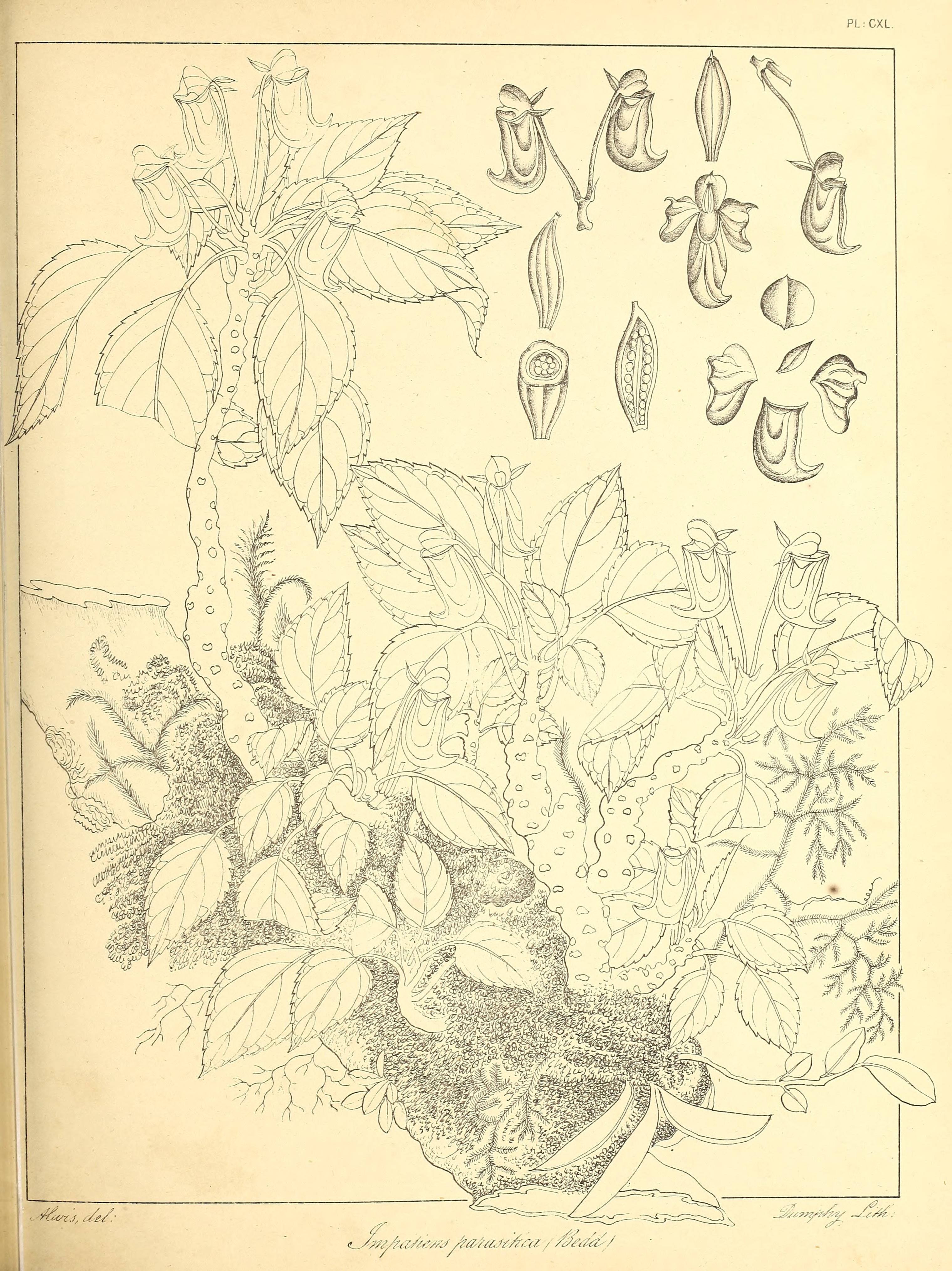 no full size  illustration available (3a)