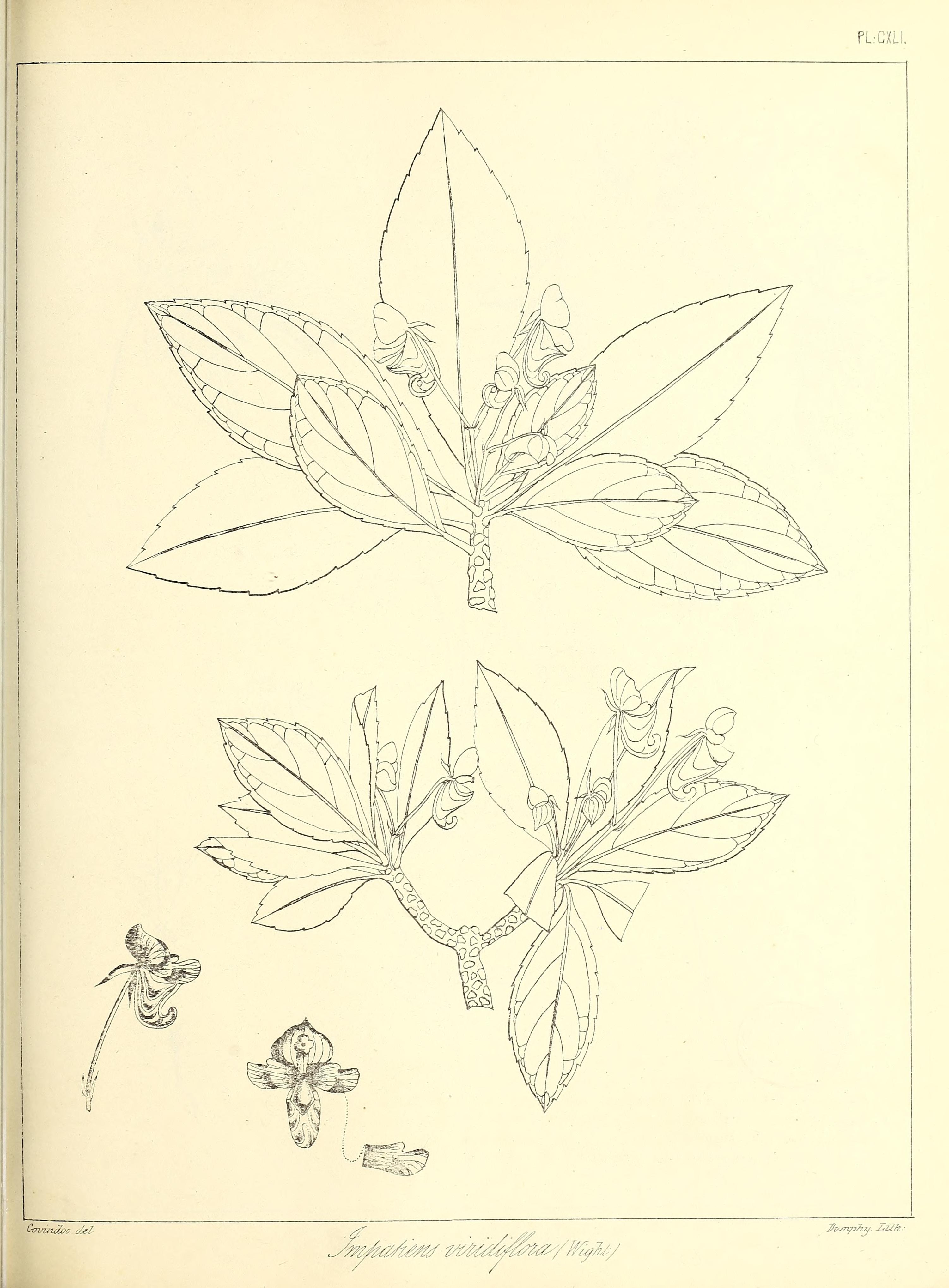 no full size  illustration available (3a)