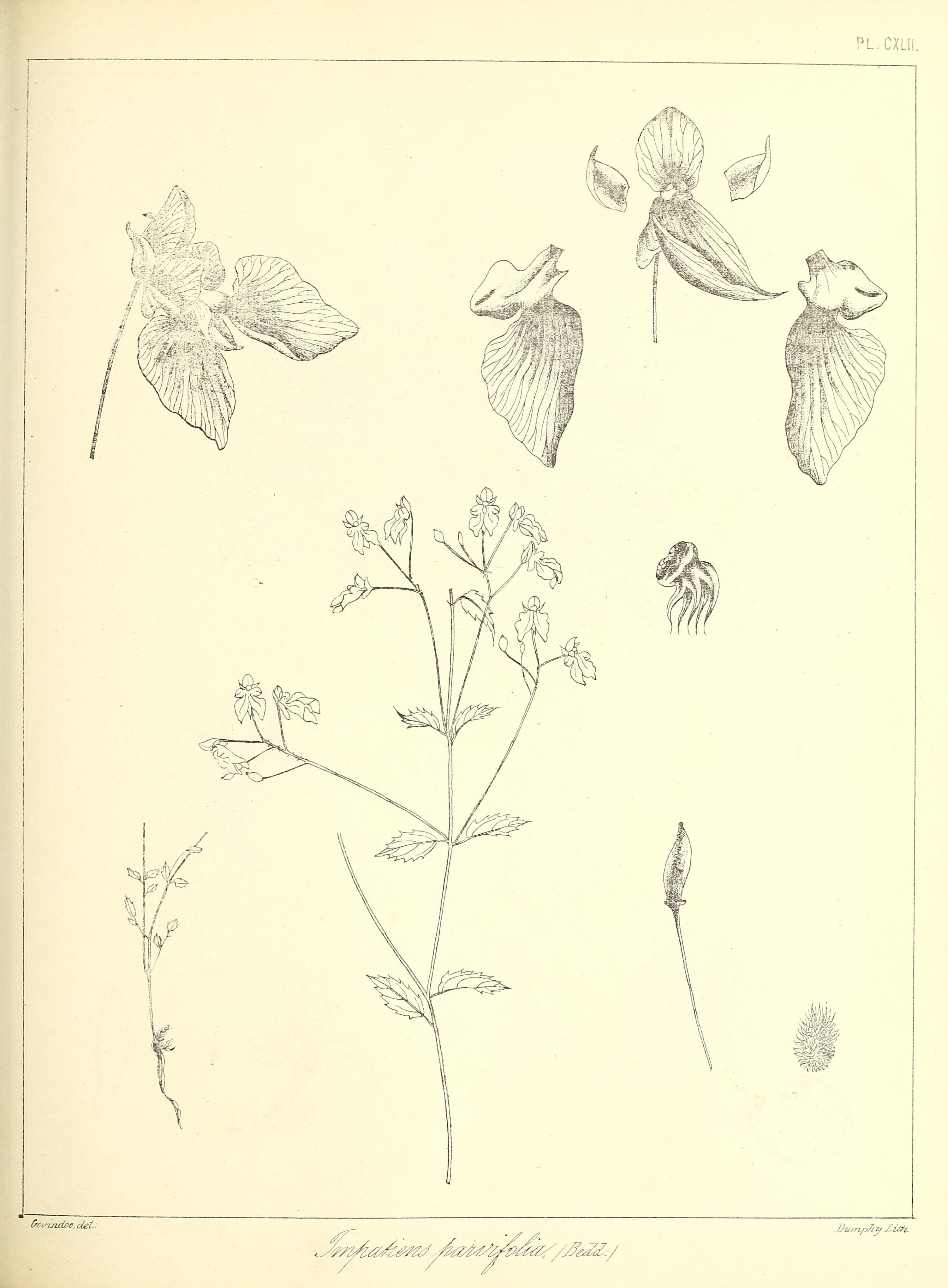 no full size  illustration available (3a)