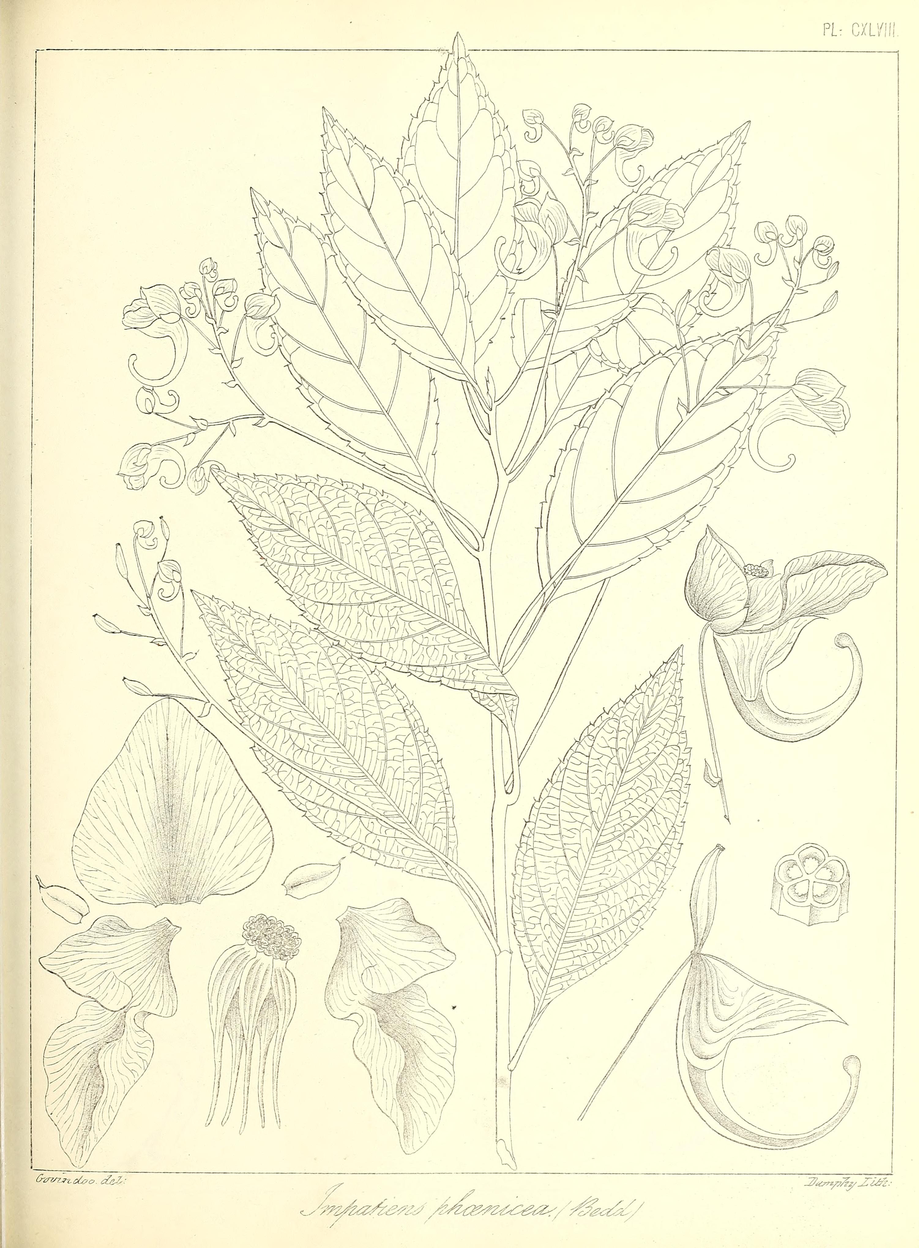 no full size  illustration available (3a)