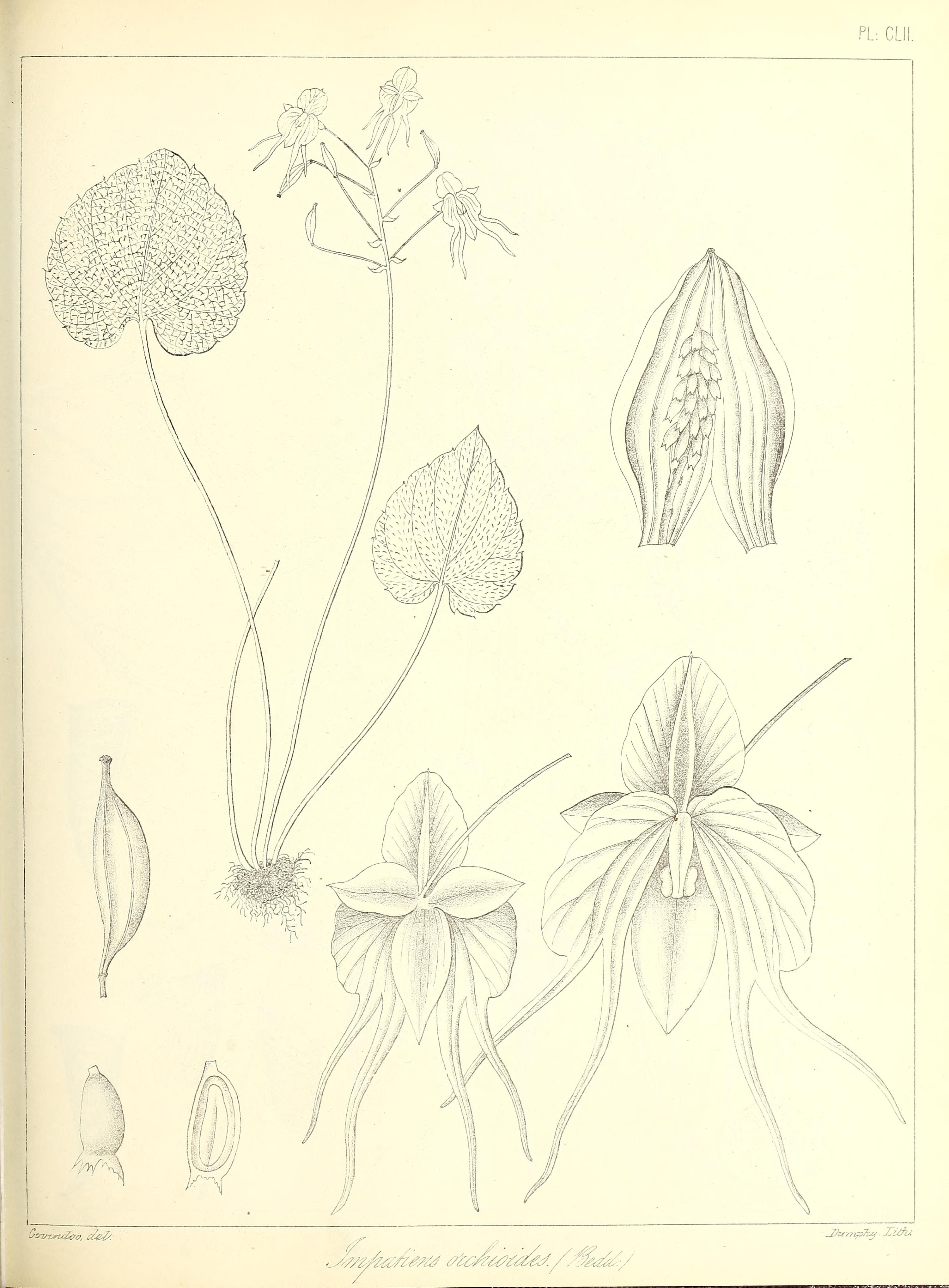 no full size  illustration available (3a)