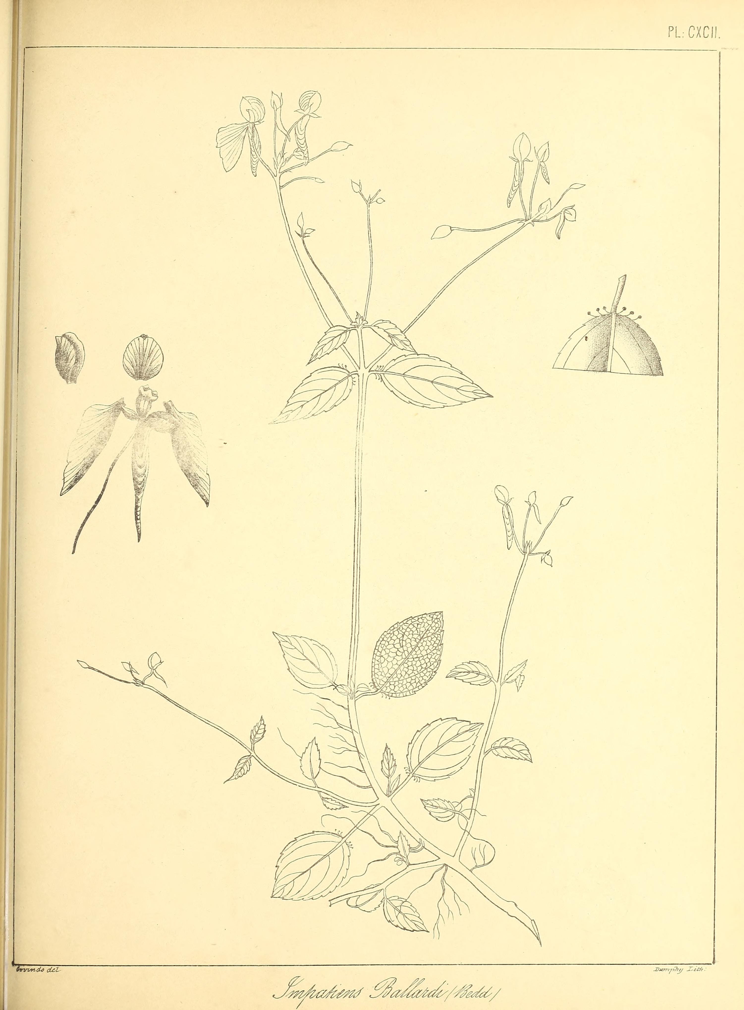 no full size  illustration available (3a)