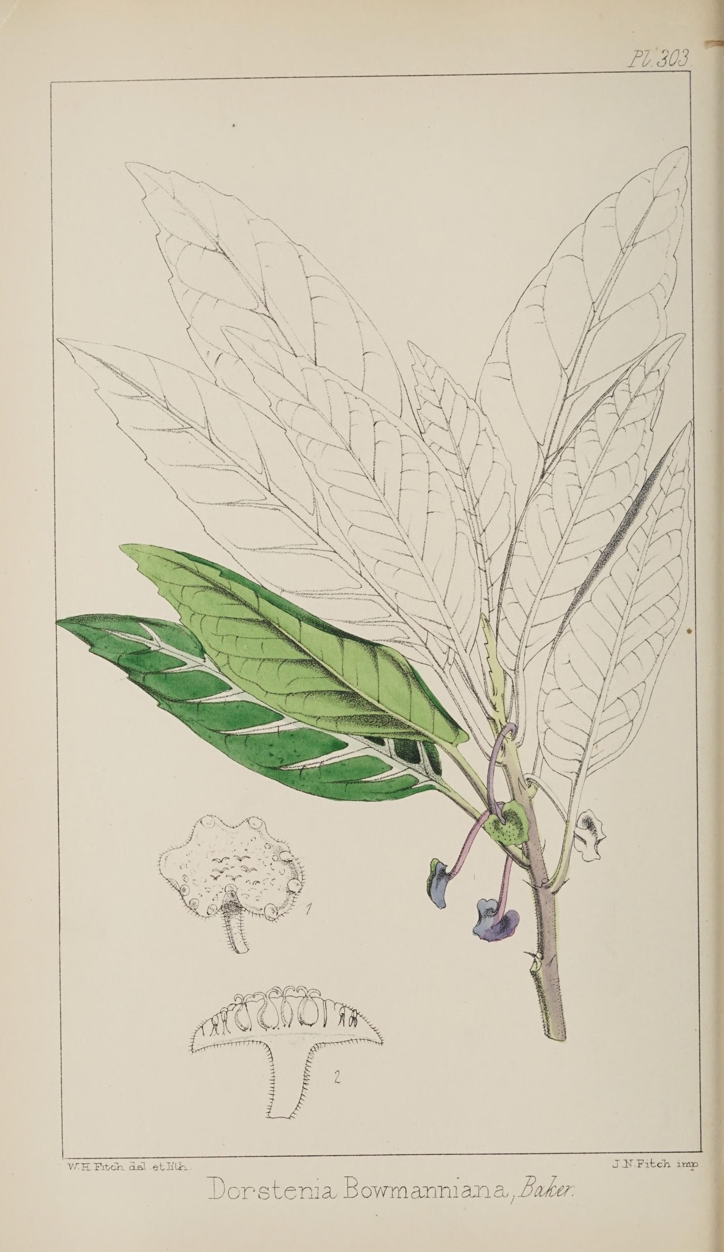 no full size  illustration available (3a)