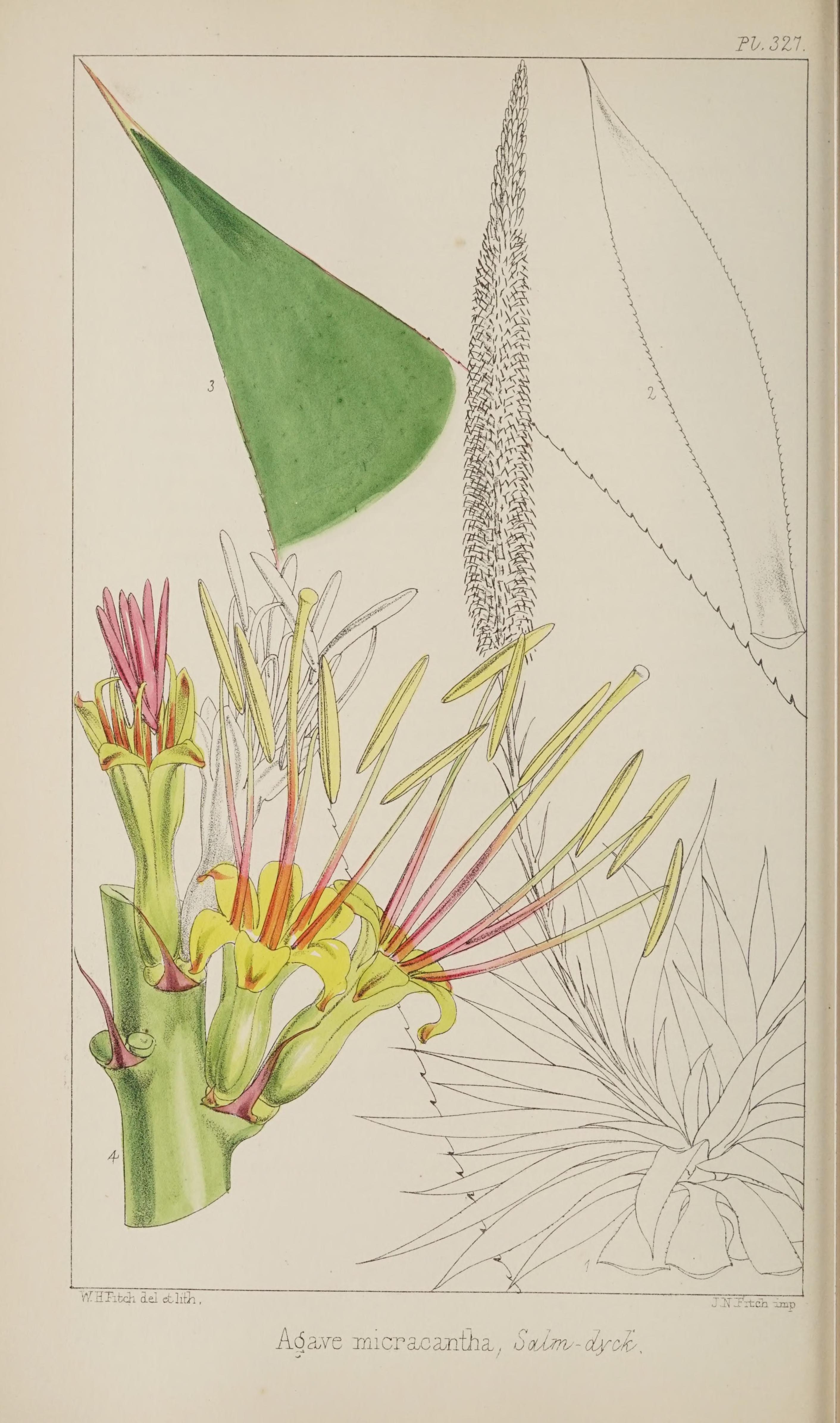 no full size  illustration available (3a)