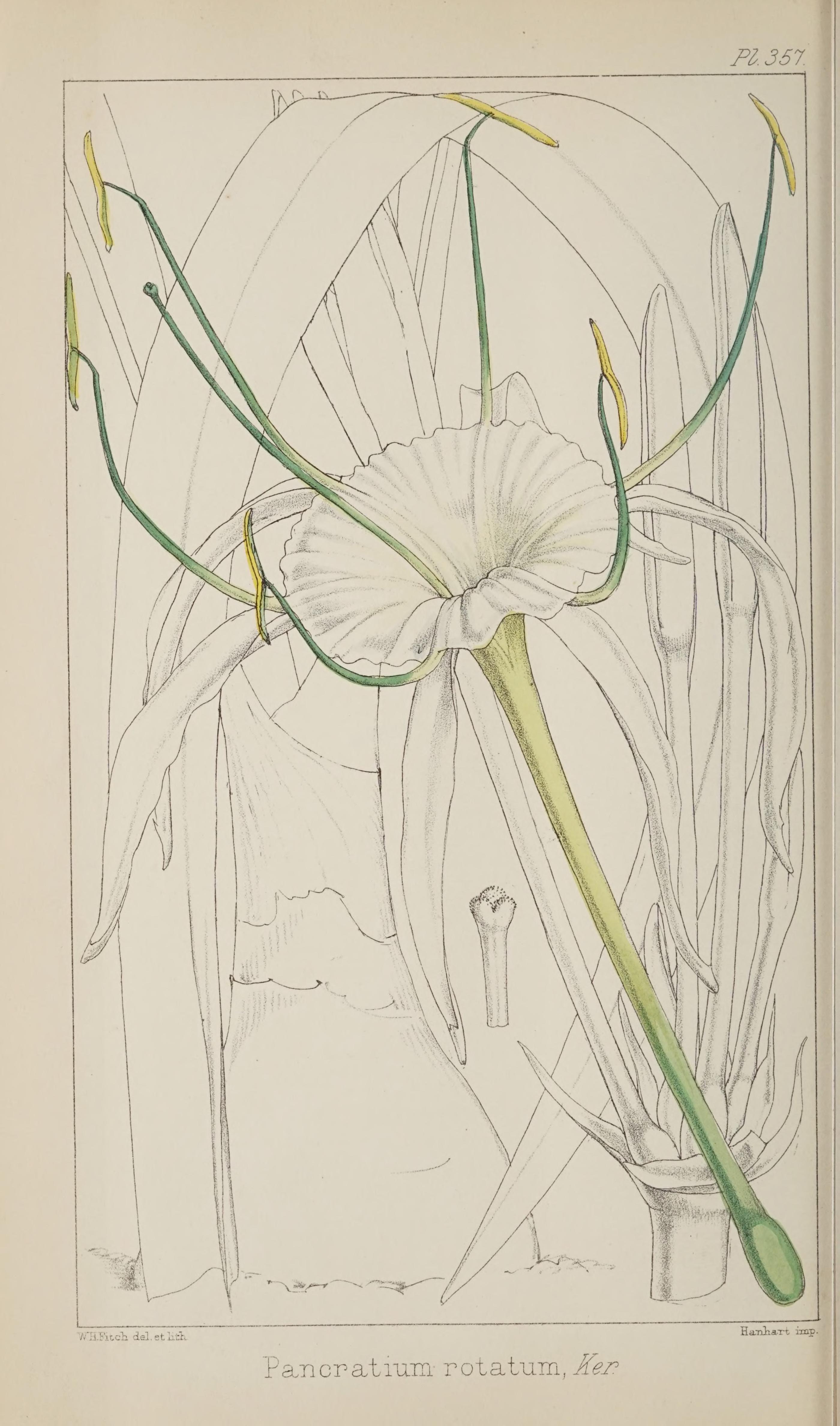 no full size  illustration available (3a)