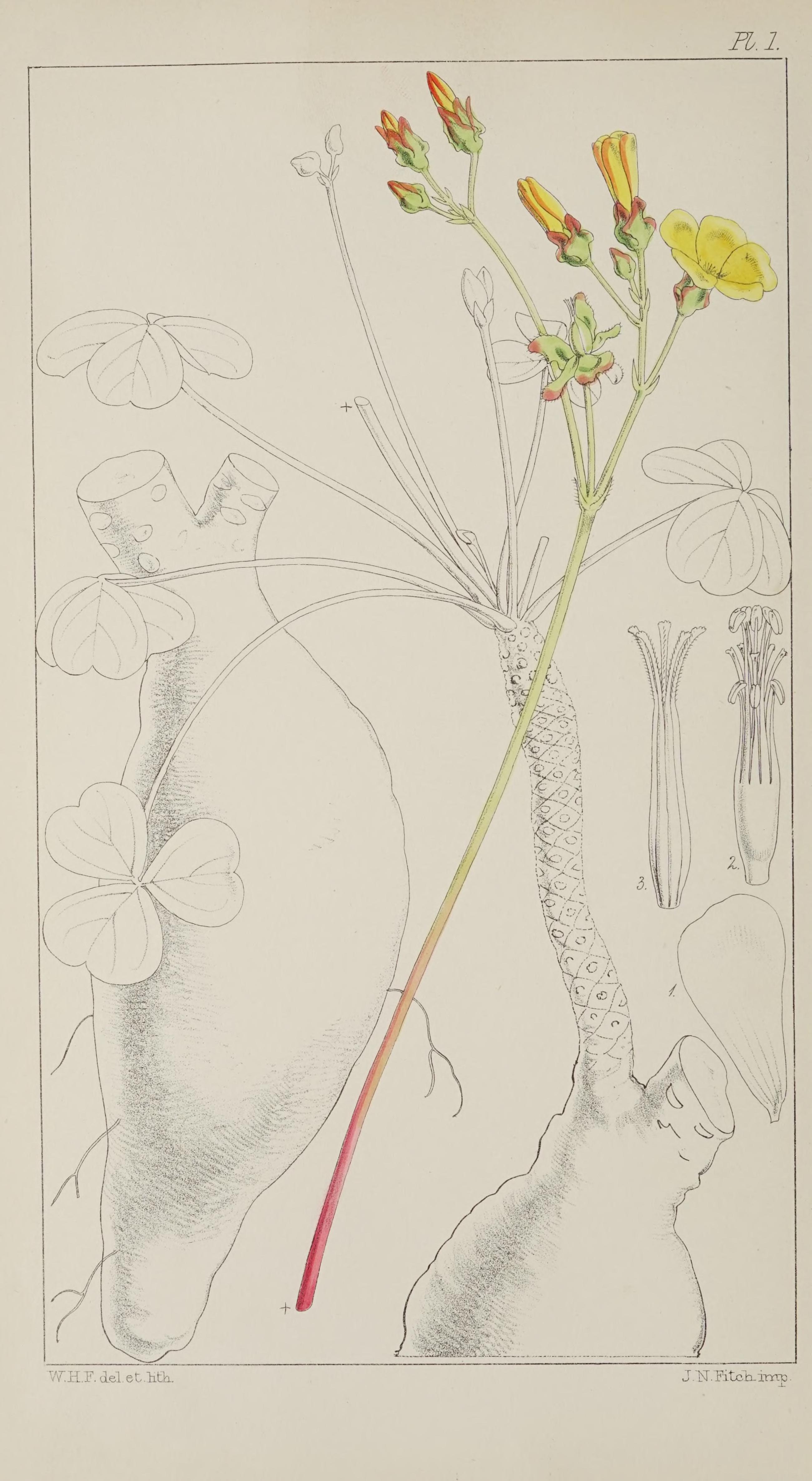 no full size  illustration available (3a)