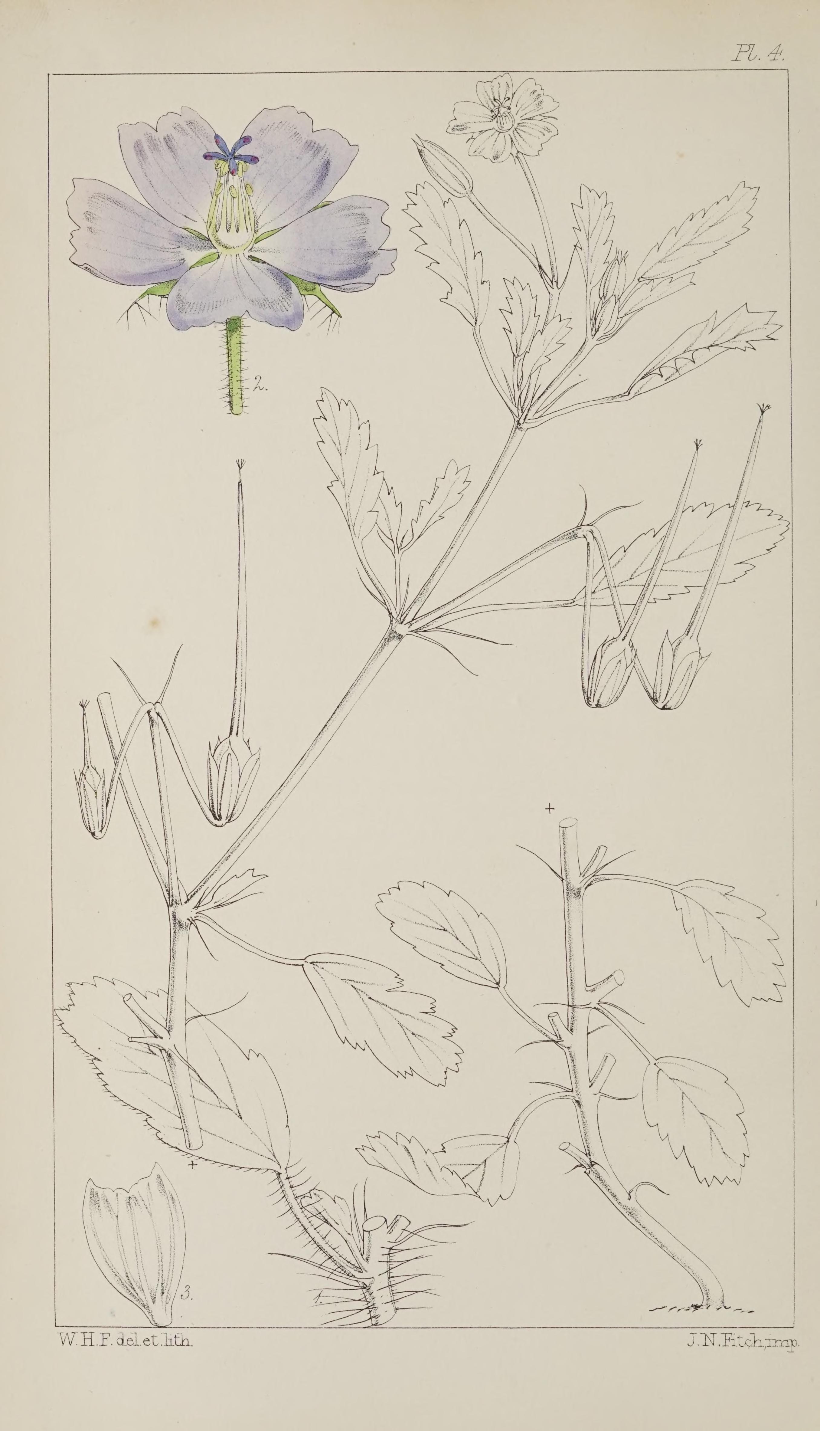 no full size  illustration available (3a)