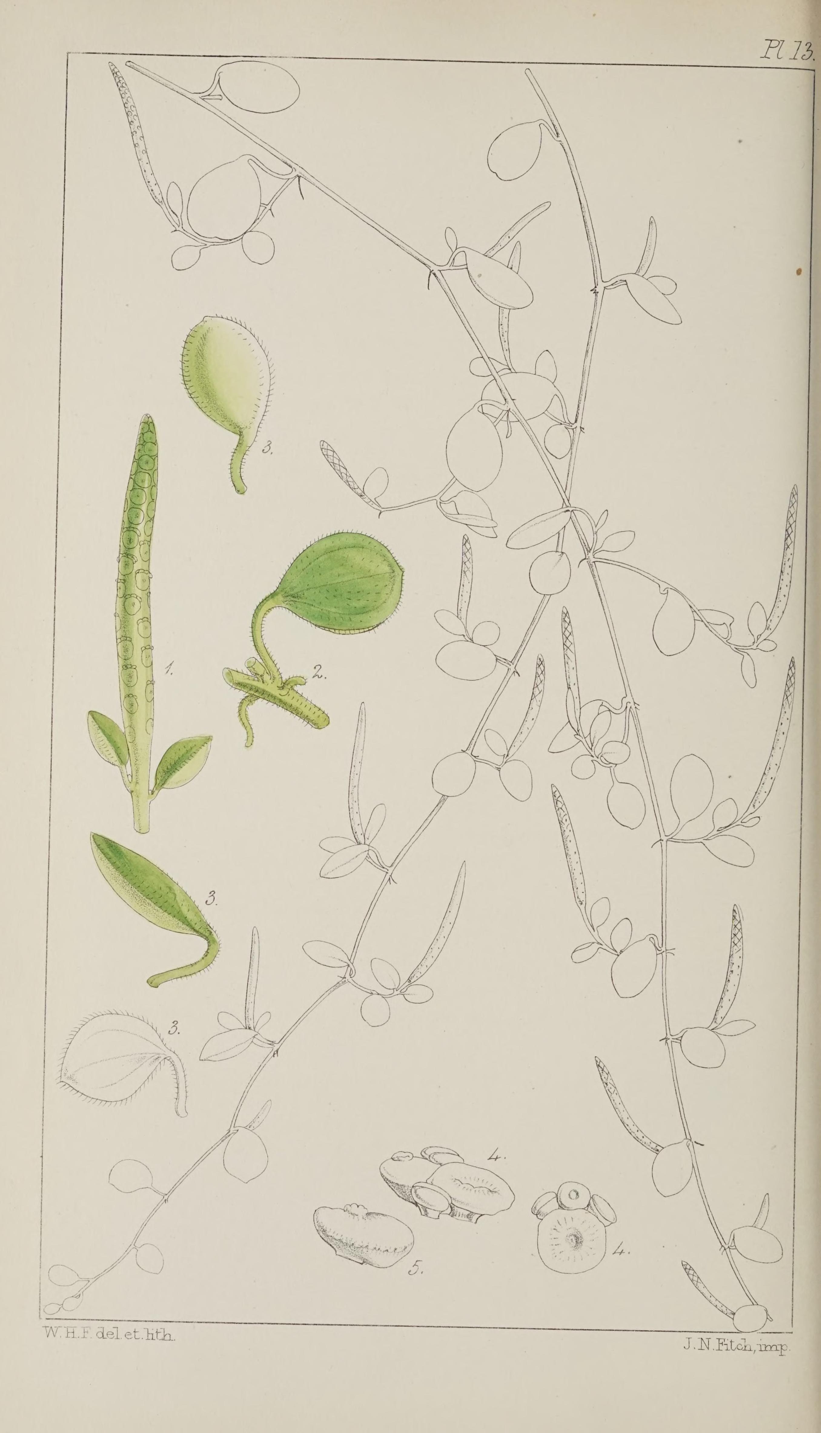 no full size  illustration available (3a)